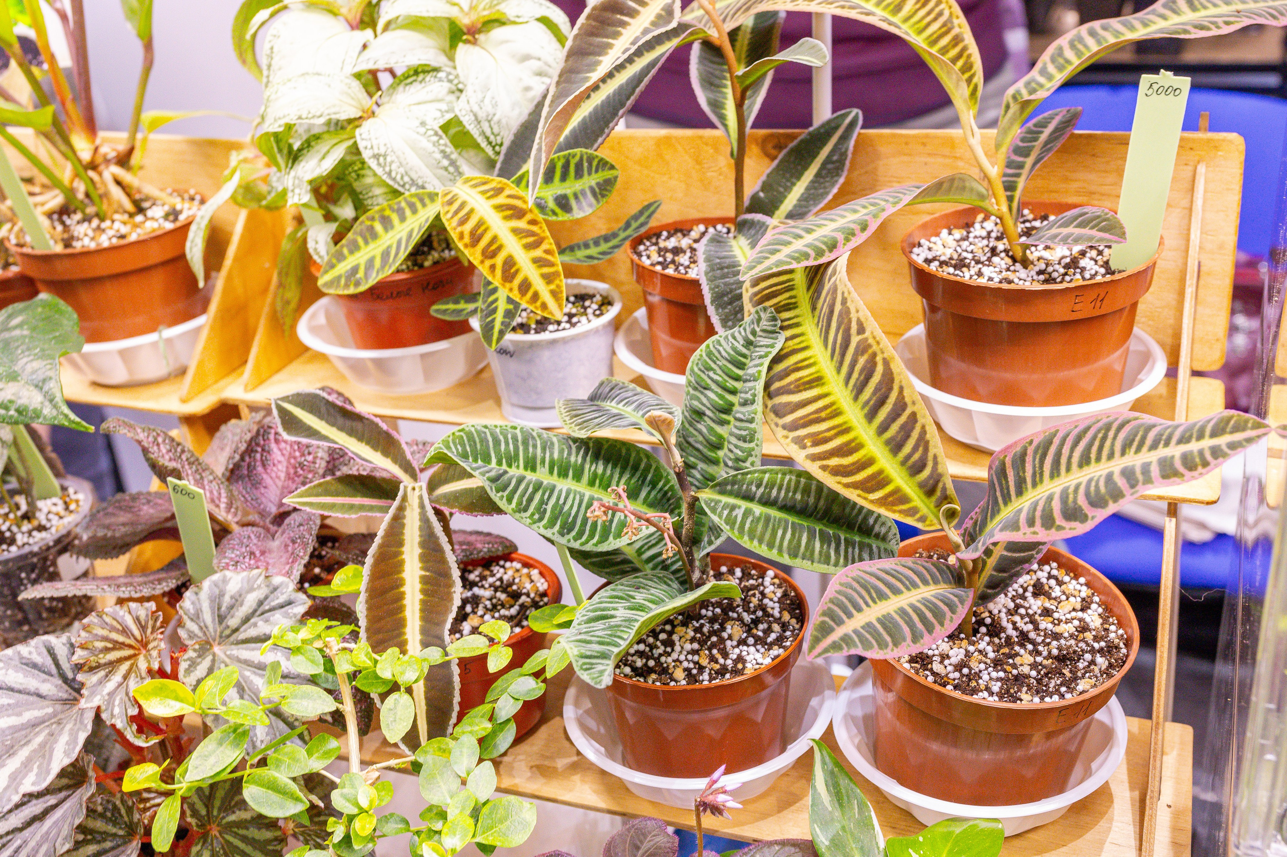 Монстериум 11–12 октября. Александра Куликова фотограф, Москва