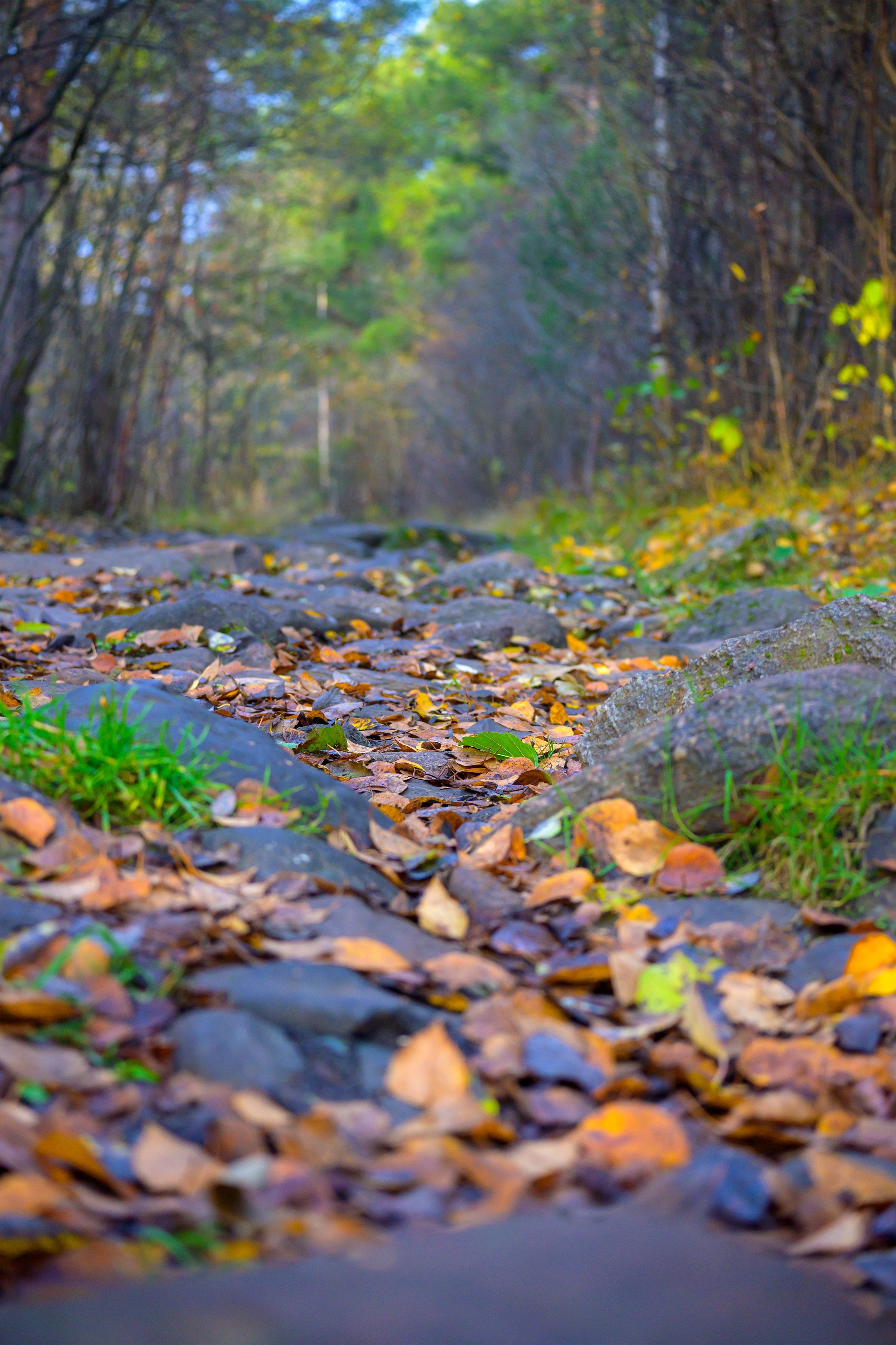 Пейзажики. Фотограф из Боровска в Калужской области