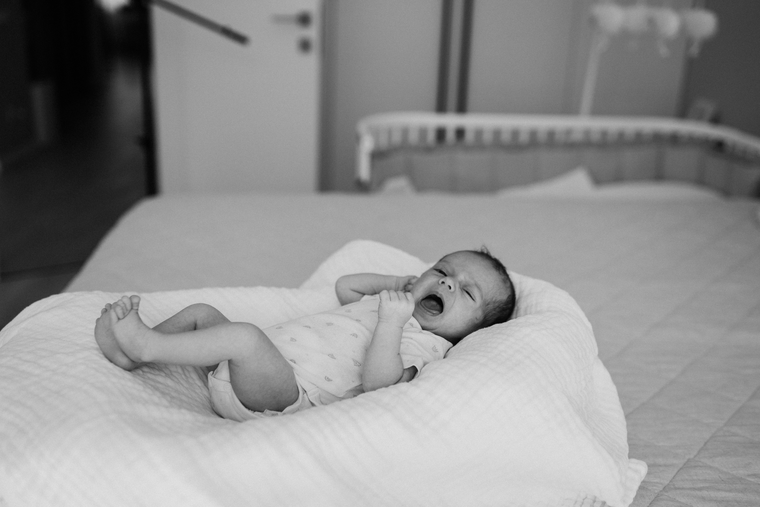 Вика, Марк, Агата. Семейный фотограф Москва