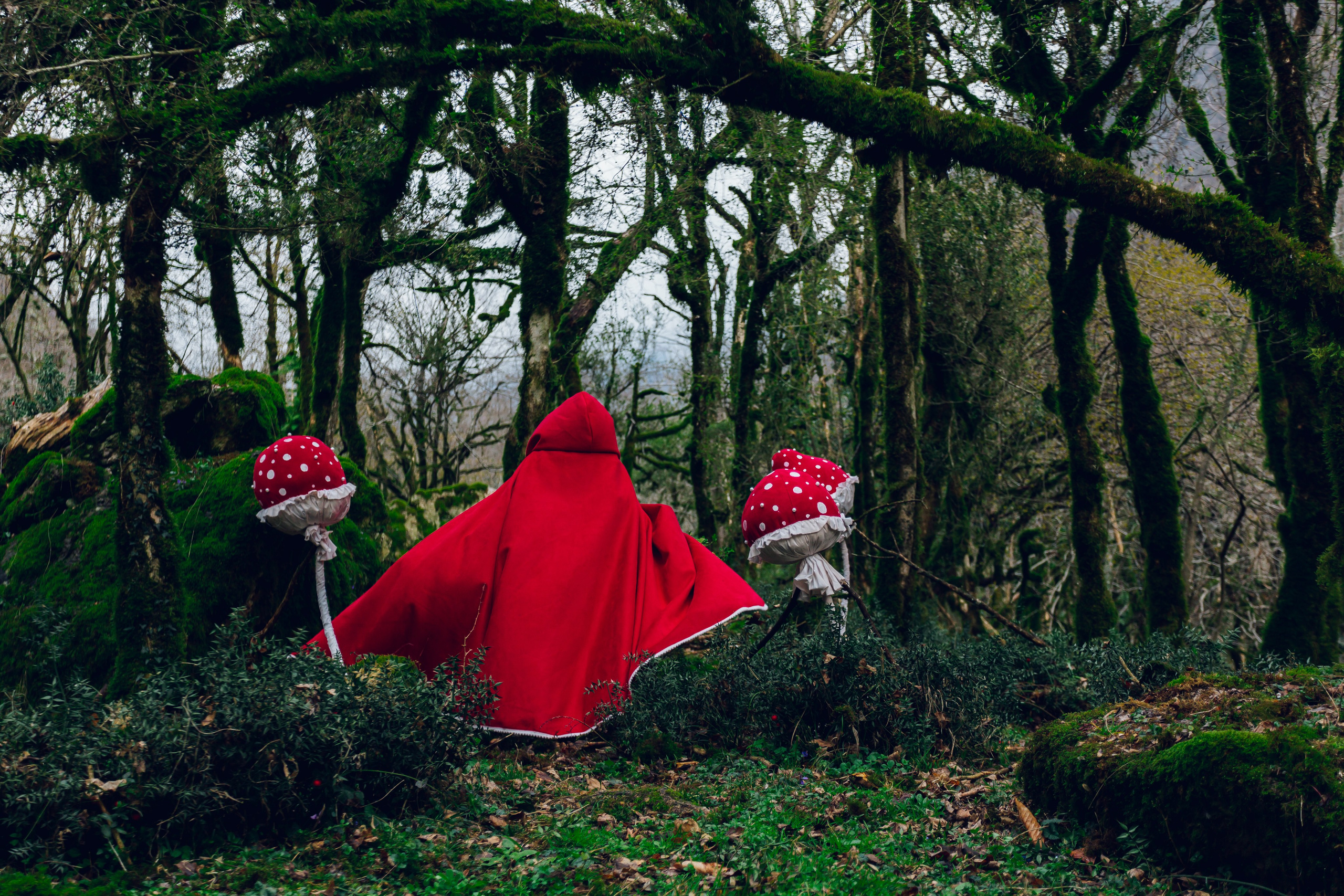 Самшитовая роща. Семейный и художественный фотограф в Тюмени Юлия Логинова