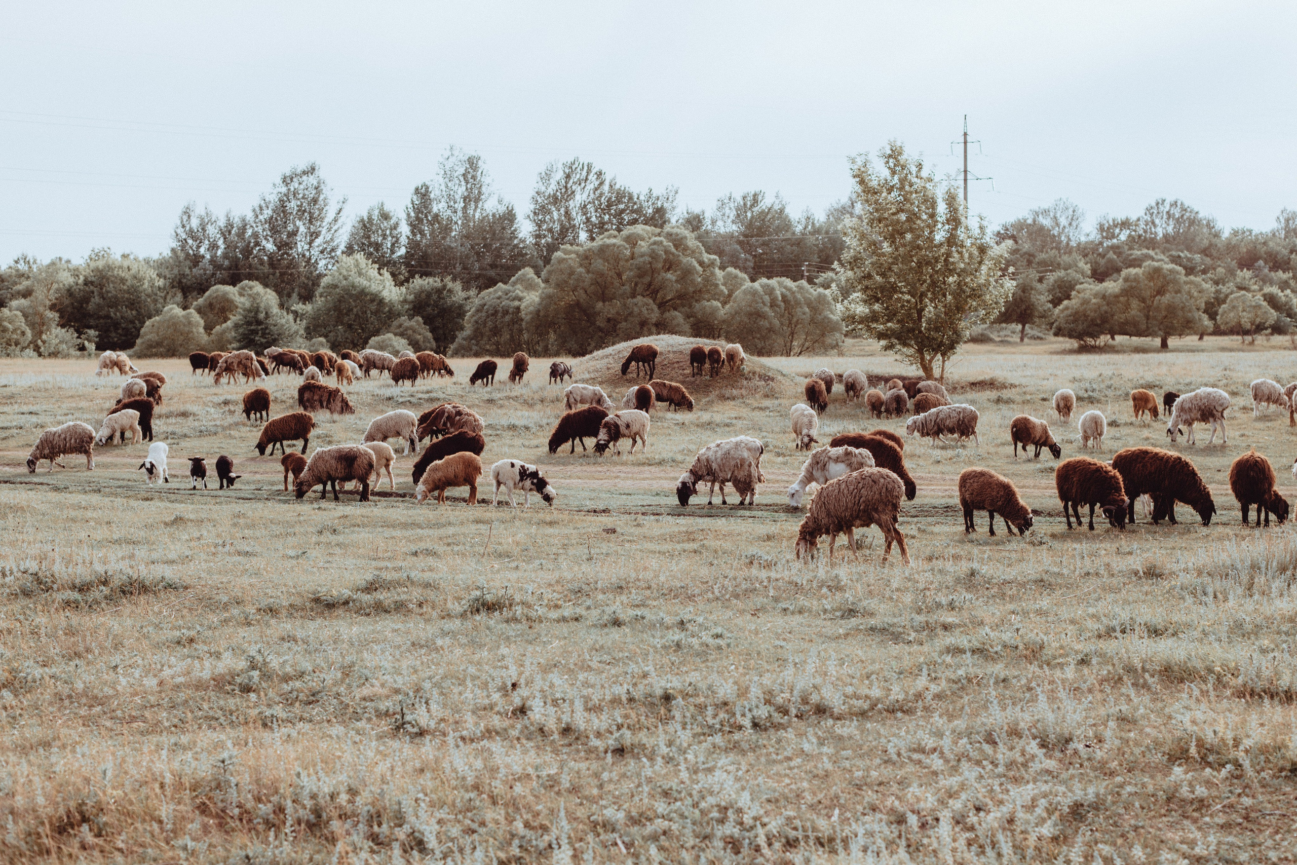 Земля. Фотограф Старый Оскол Мавлыга Мария