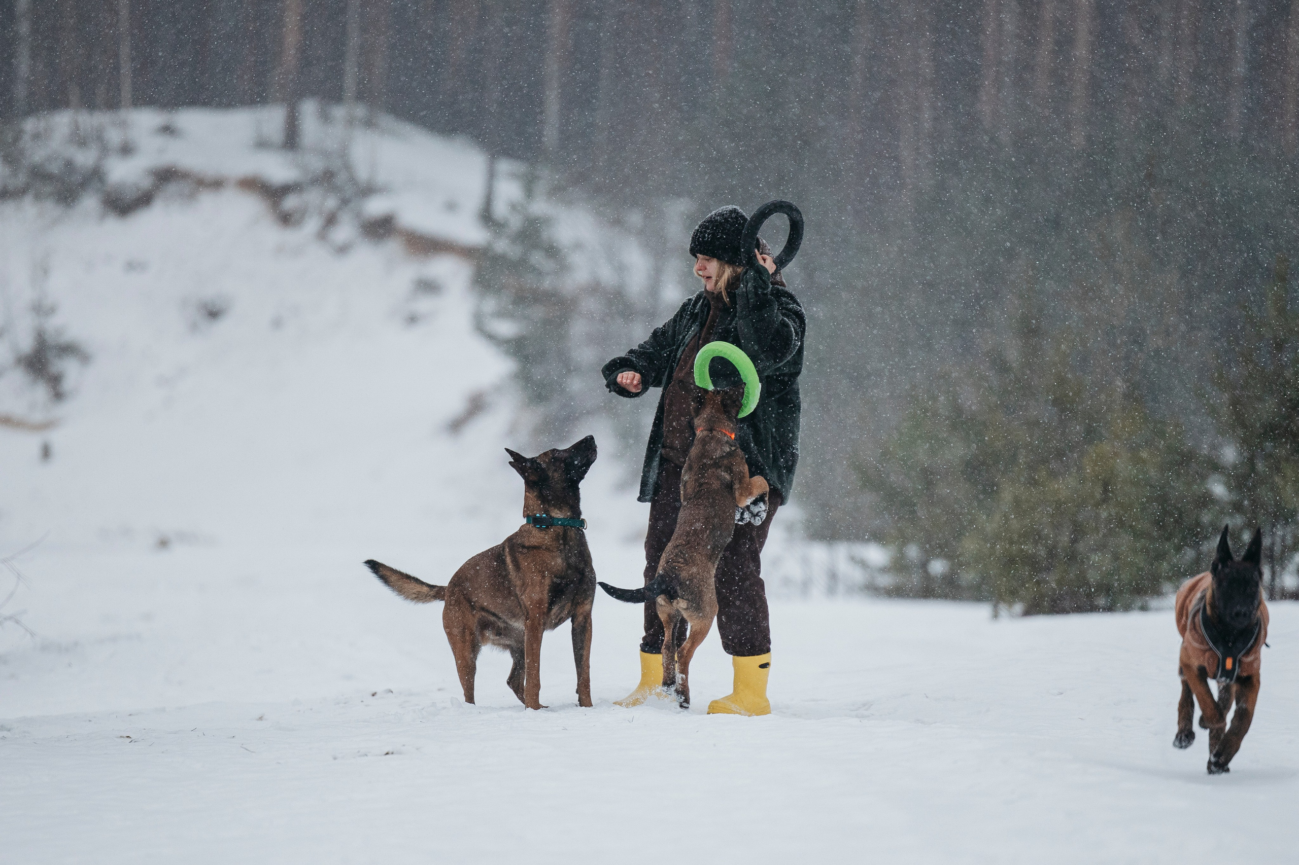 Карьер. Фотограф-анималист Анна Маринич