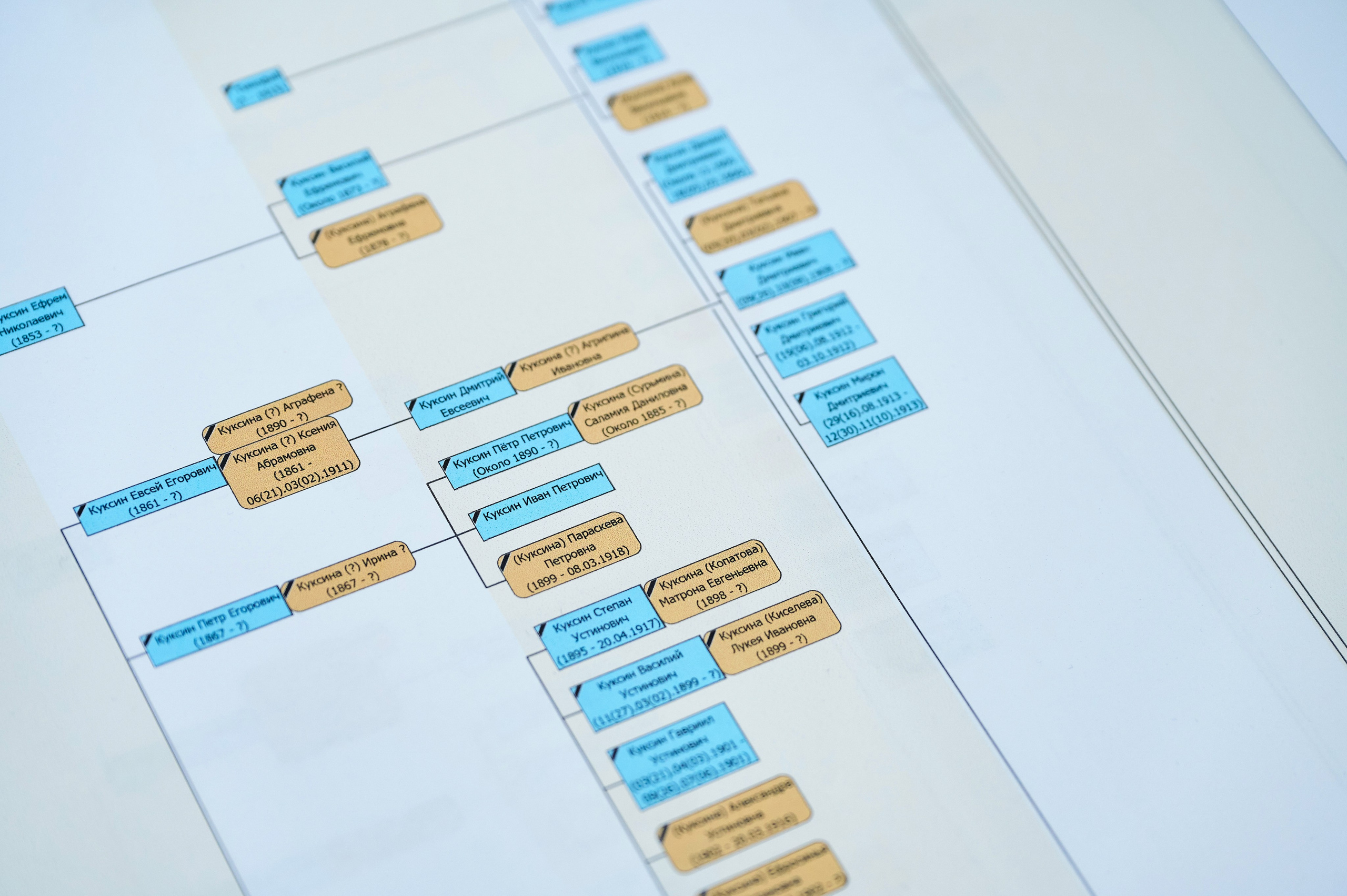 Ощепковы. Встреча рода. Фотограф Опыт Качество Скорость Горный Алтай Барнаул