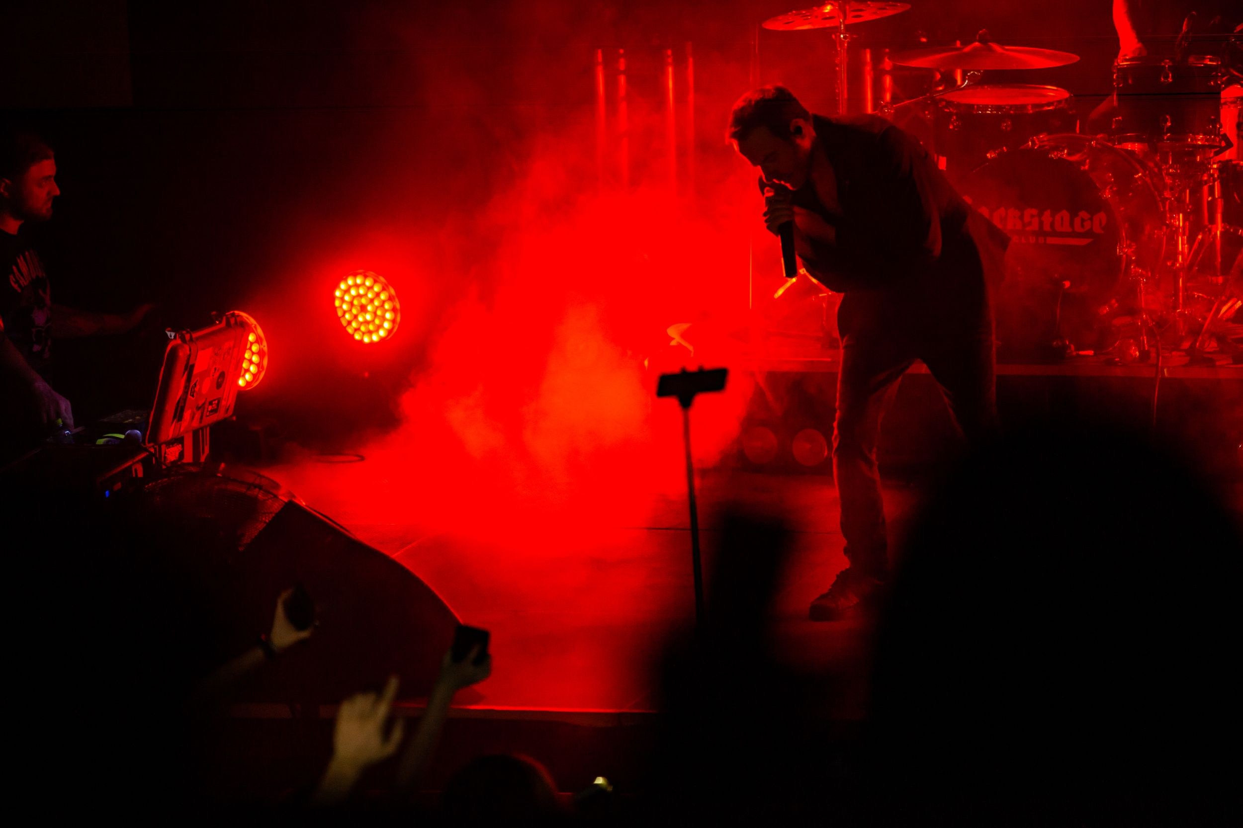 Animal ДжаZ. Репортажный фотограф Алексей Пирязев