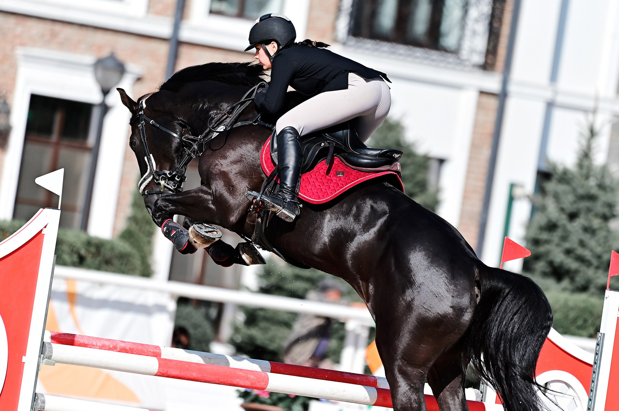 Голден. Конный фотограф Alesya Safe