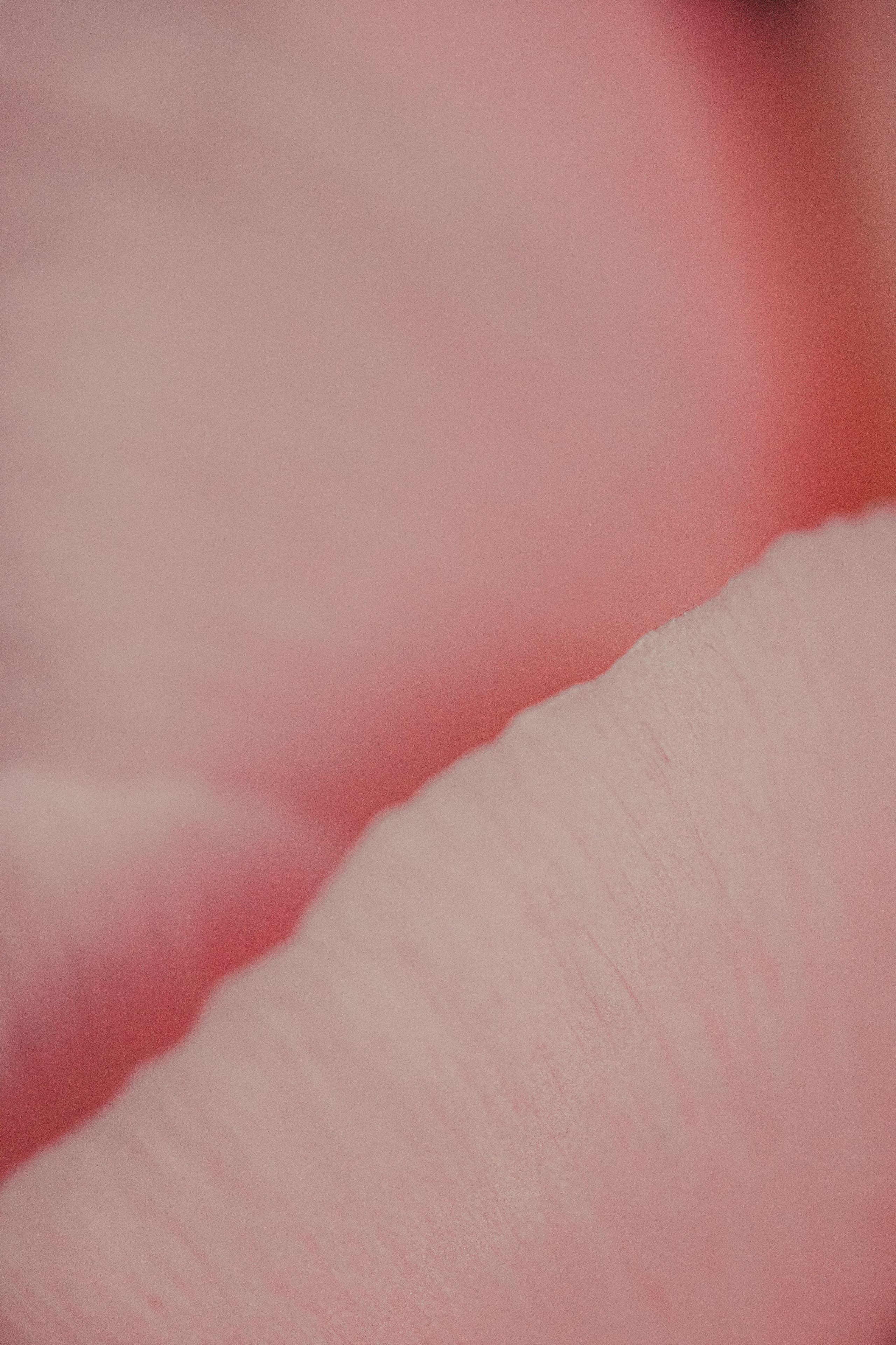 Букет пионов. Портретный и семейный фотограф во Владивостоке Светлана Мухильченко