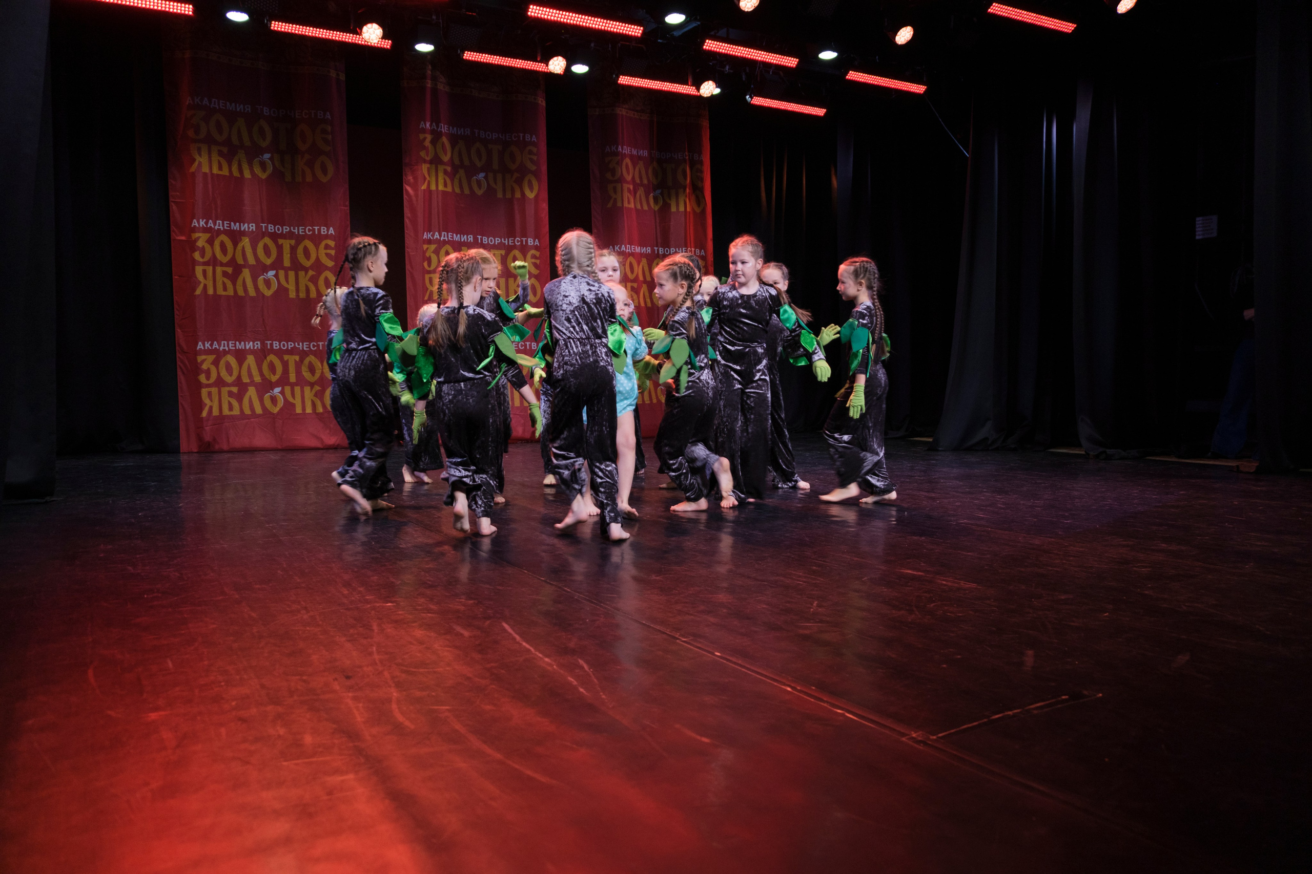 17 ноября, г. Великий Устюг. Золотое яблочко