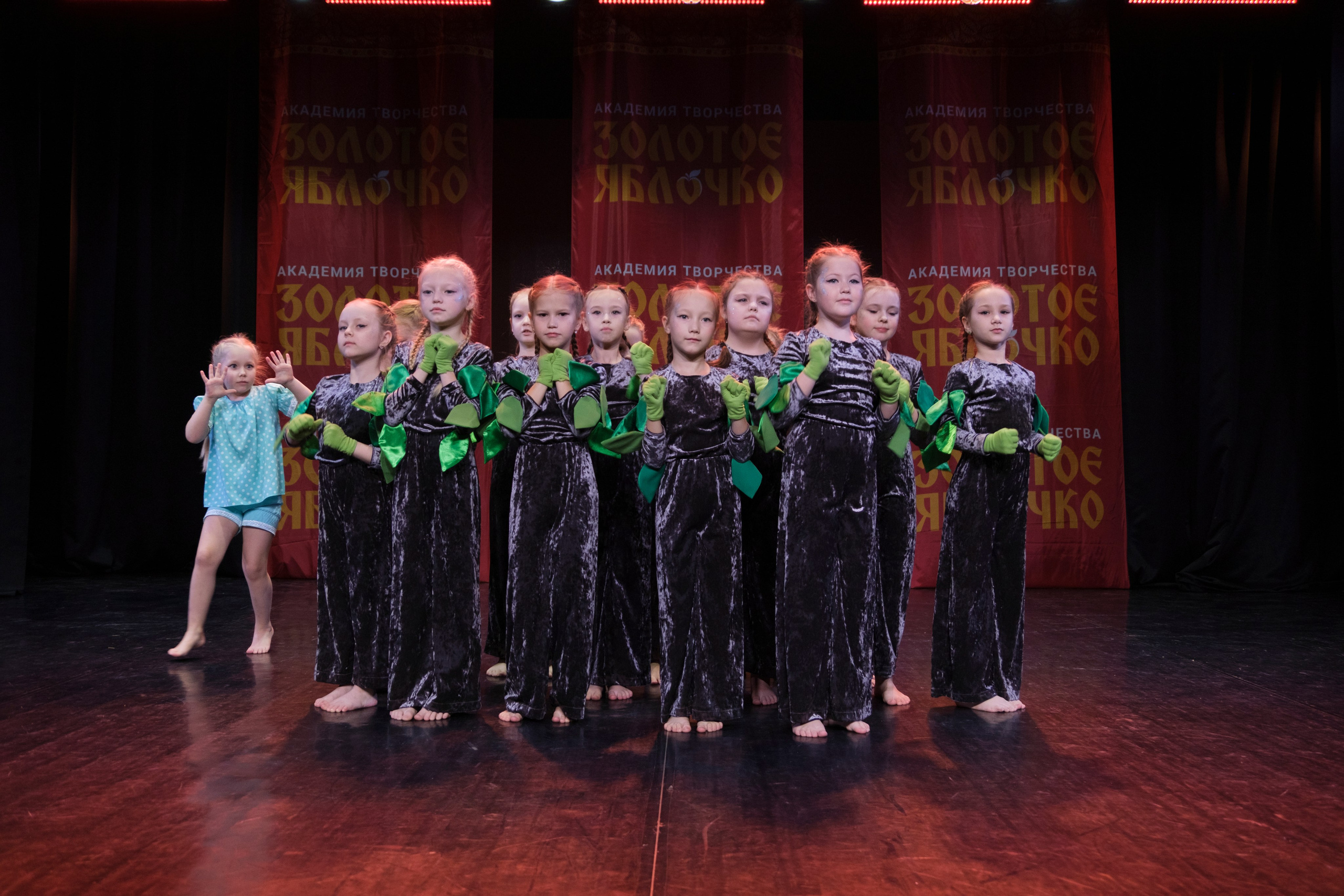 17 ноября, г. Великий Устюг. Золотое яблочко