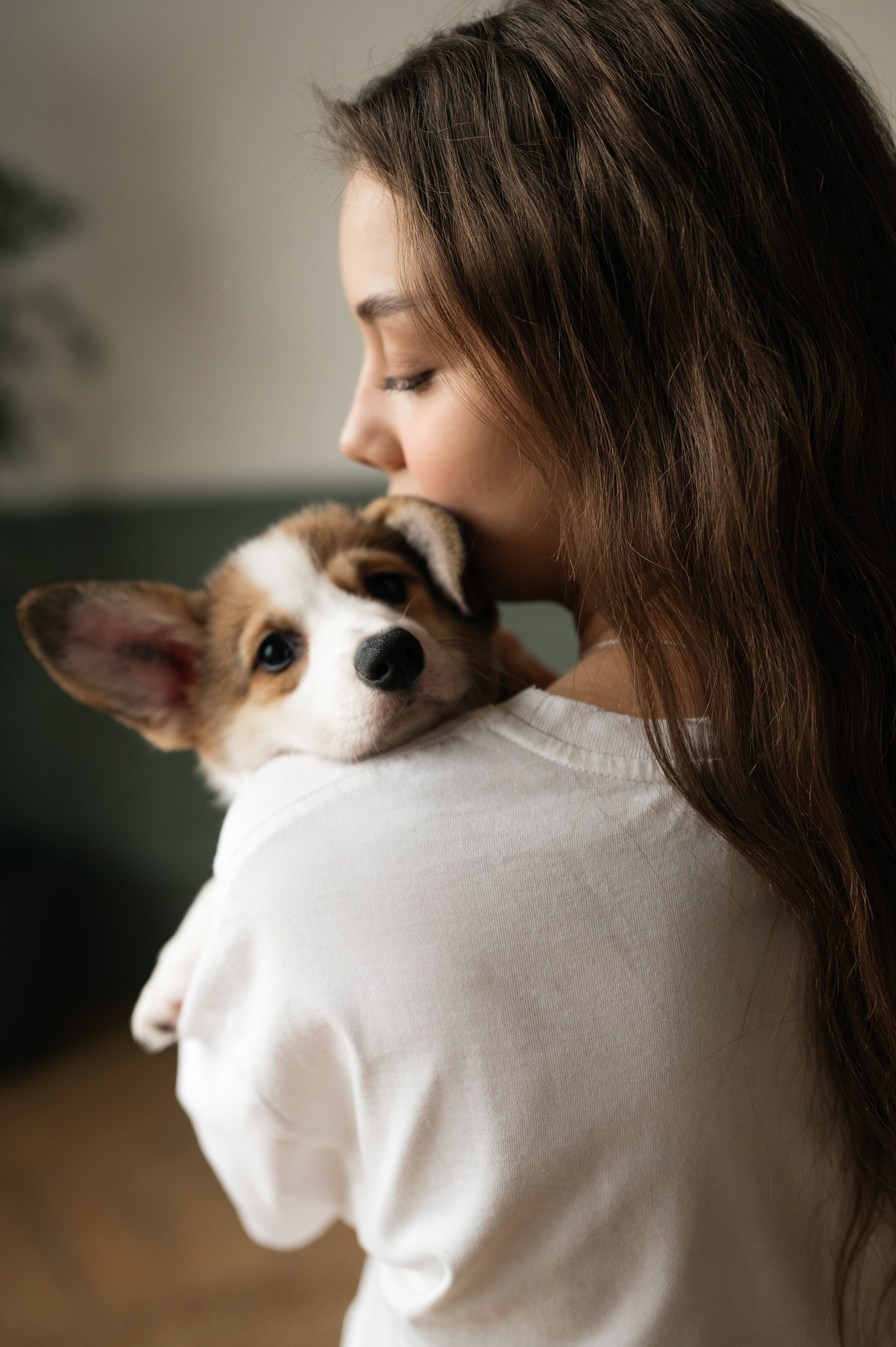 Миша, Маша и Боня. Свадебный и семейный фотограф в Краснодаре Алина Мельник
