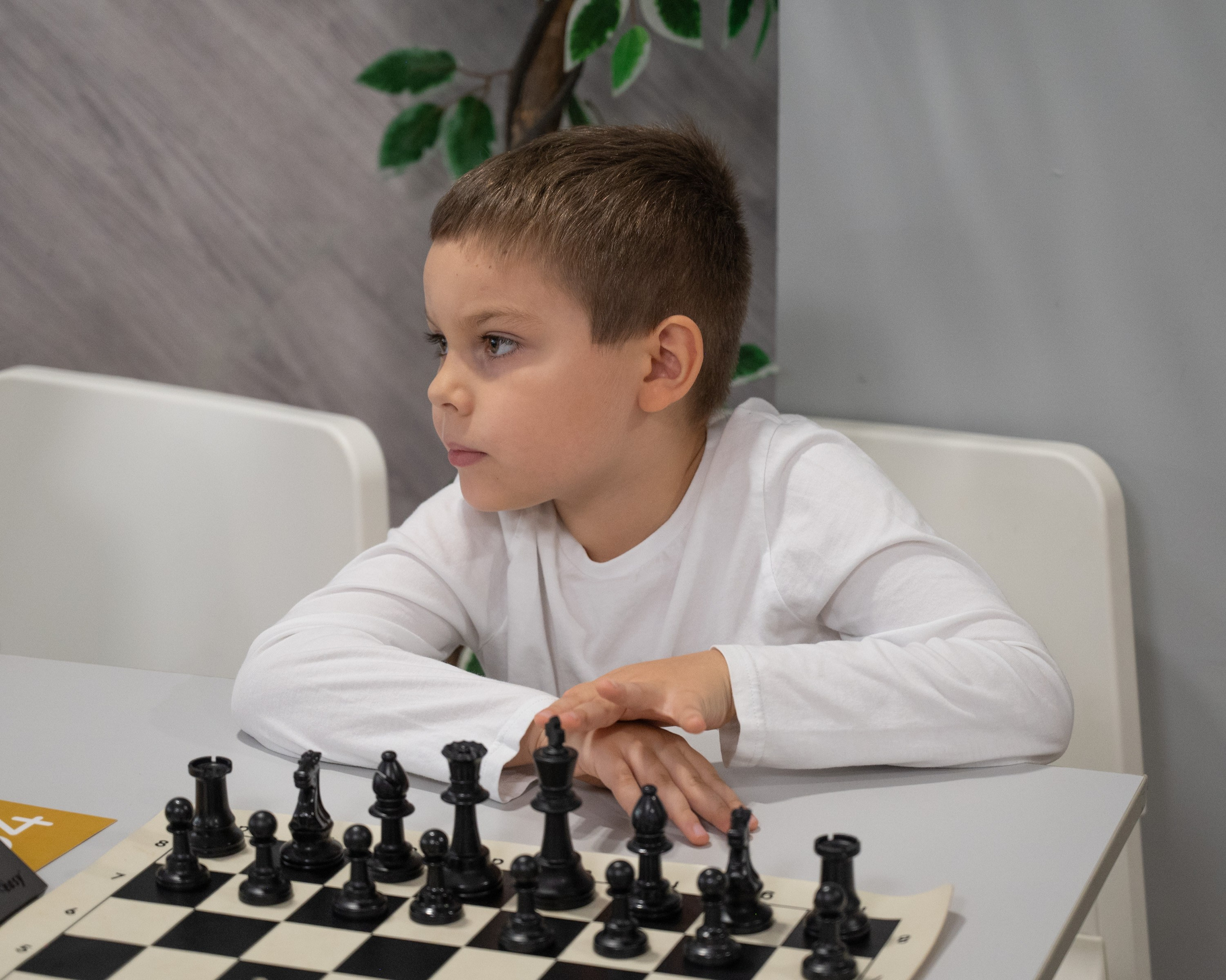 Турнир по быстрым шахматам «ОСЕННИЙ КУБОК"♟. Фотографирую счастливых людей в Сочи