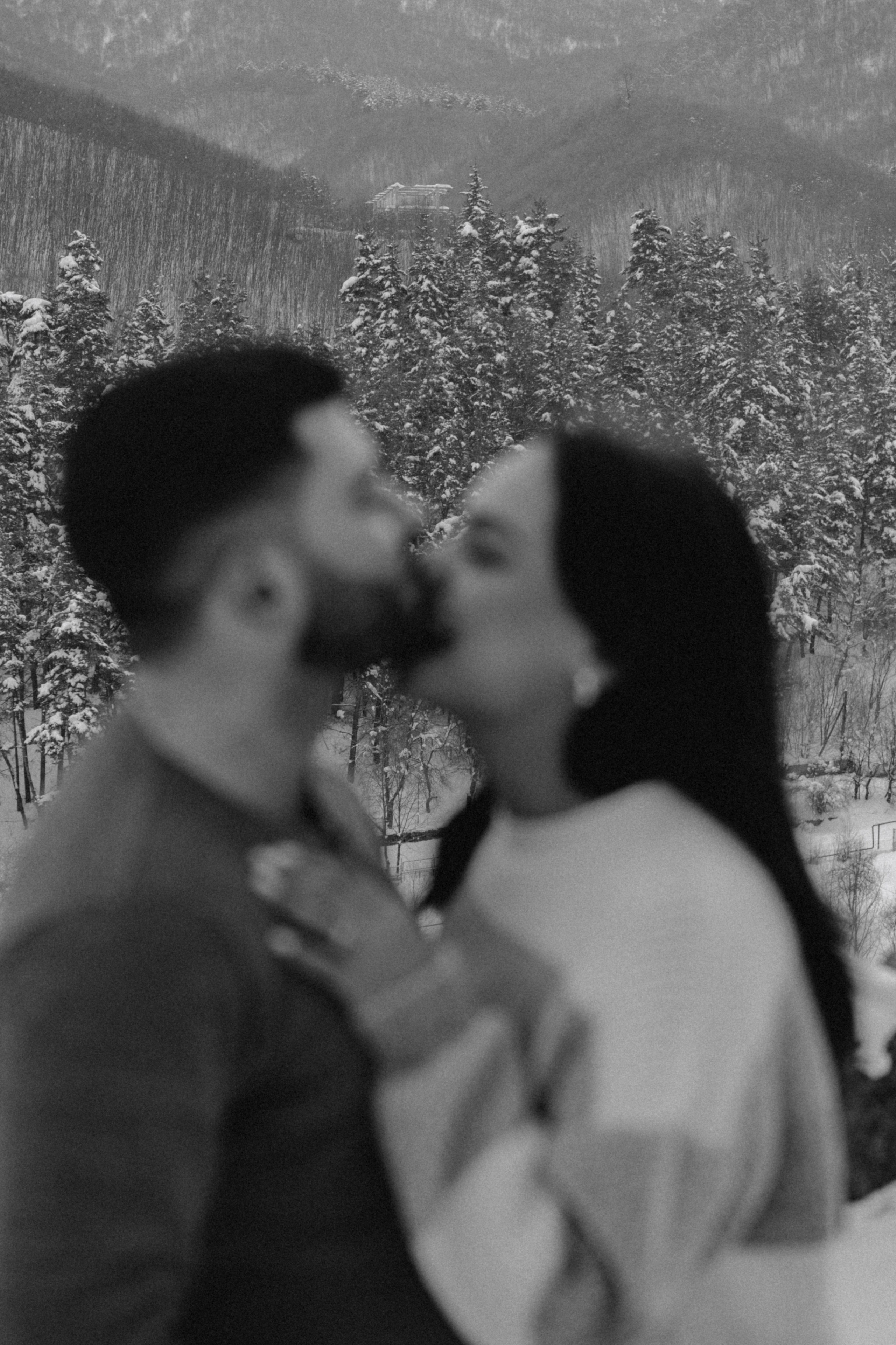 Снежинки. Գլխավոր