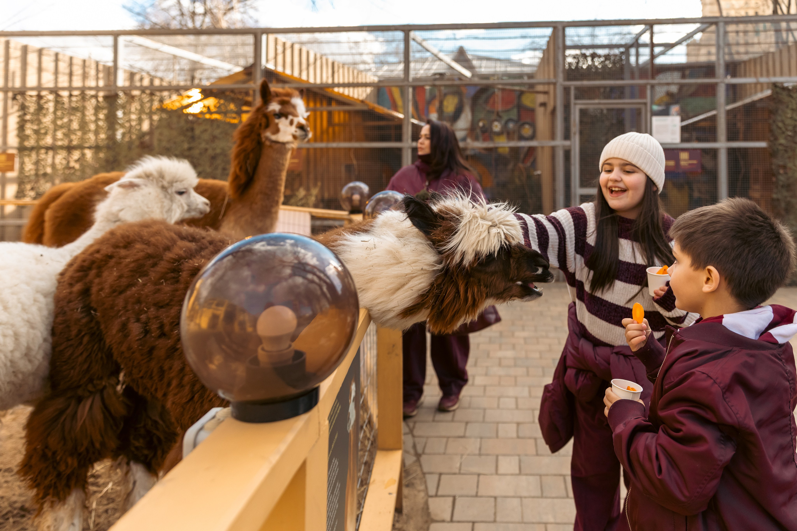 Zoo. Семейный фотограф Израиль