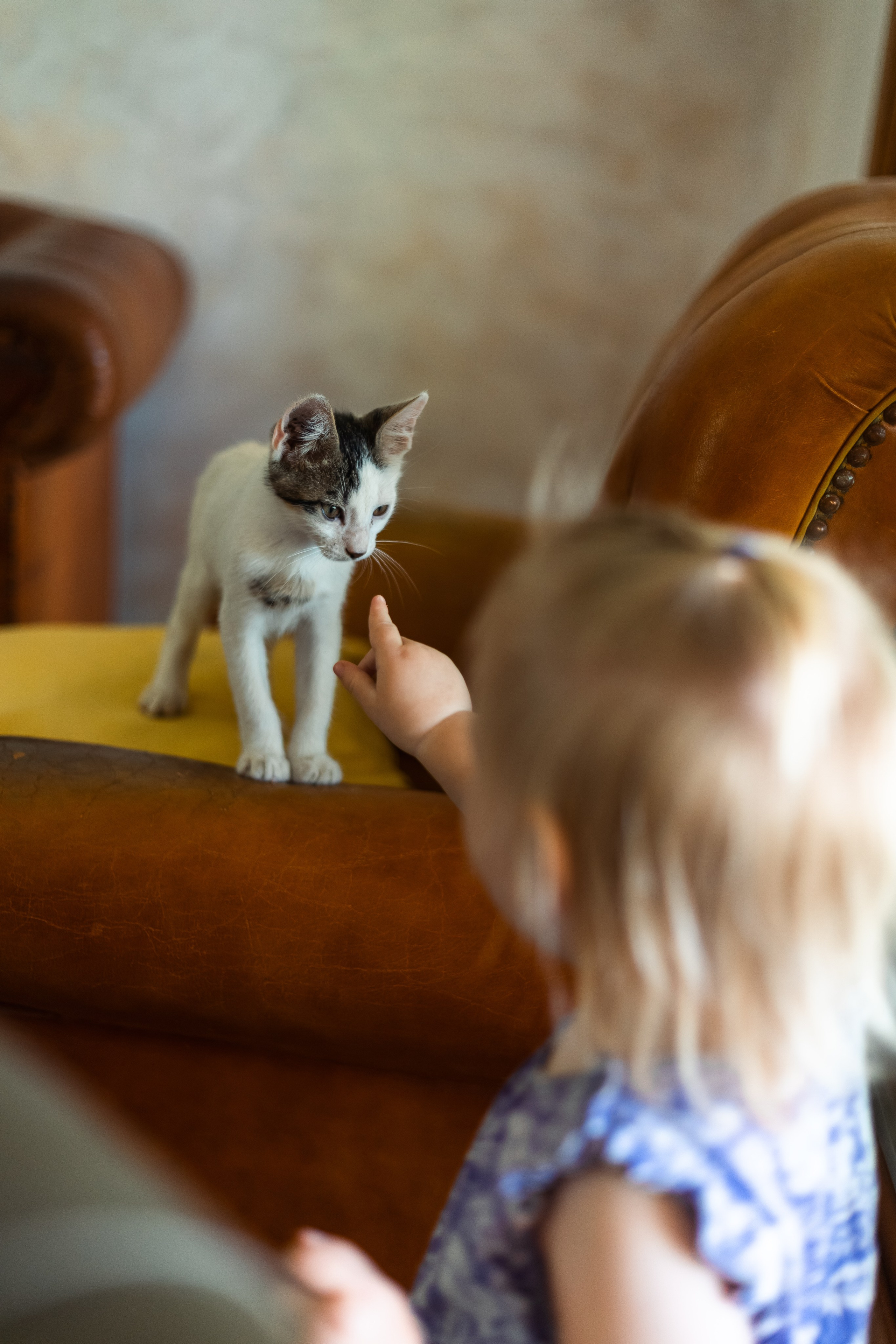 Оливия. Семейный фотограф Израиль