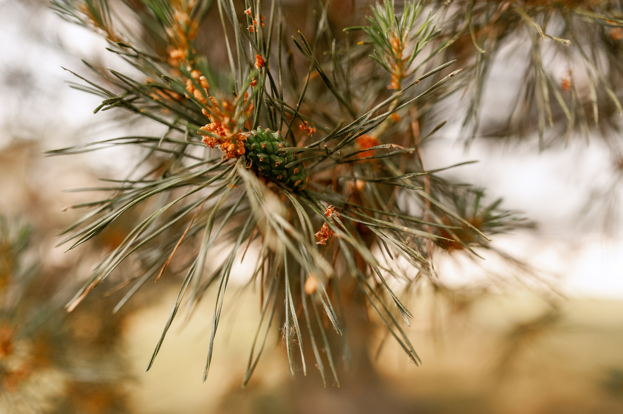 Свадебный банкет Анастасии и Андрея — озеро Белое — 06.06.25