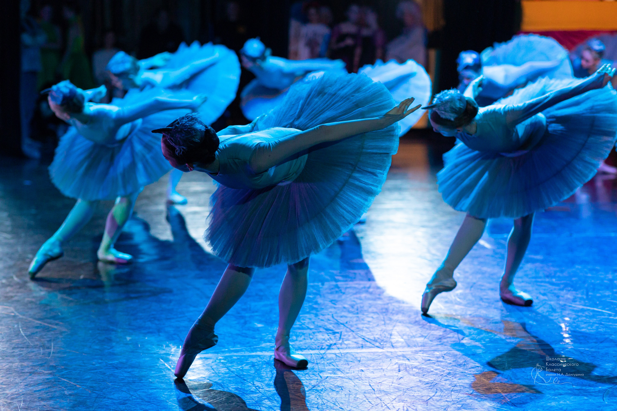 Репортажная съёмка концертов, открытых уроков, балетов. Балетный фотограф Алина Ханько — Душа Балета