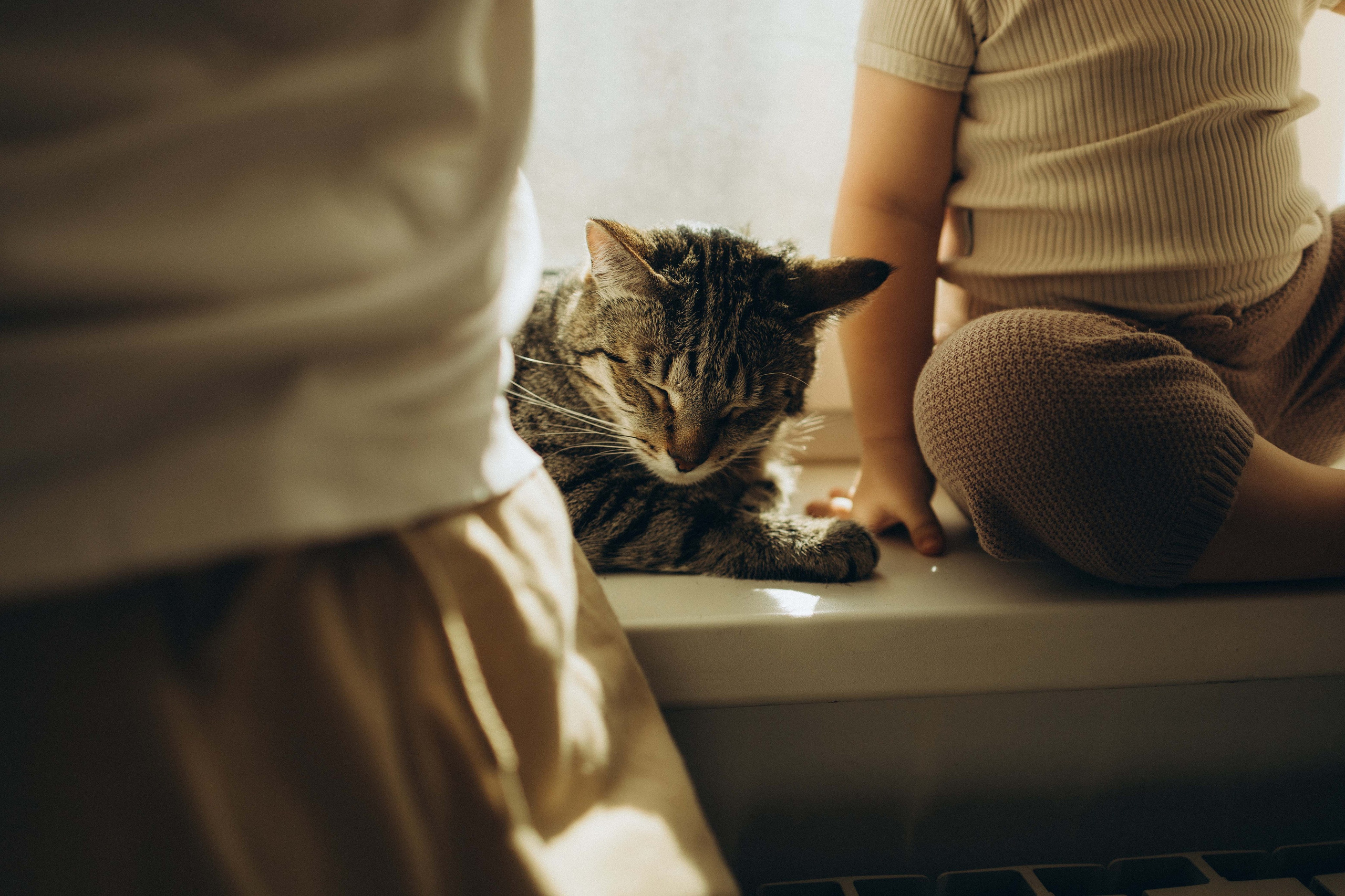 Портфолио. Анна Лобастова | Фотограф для особенных мгновений ❤ Москва Люберцы