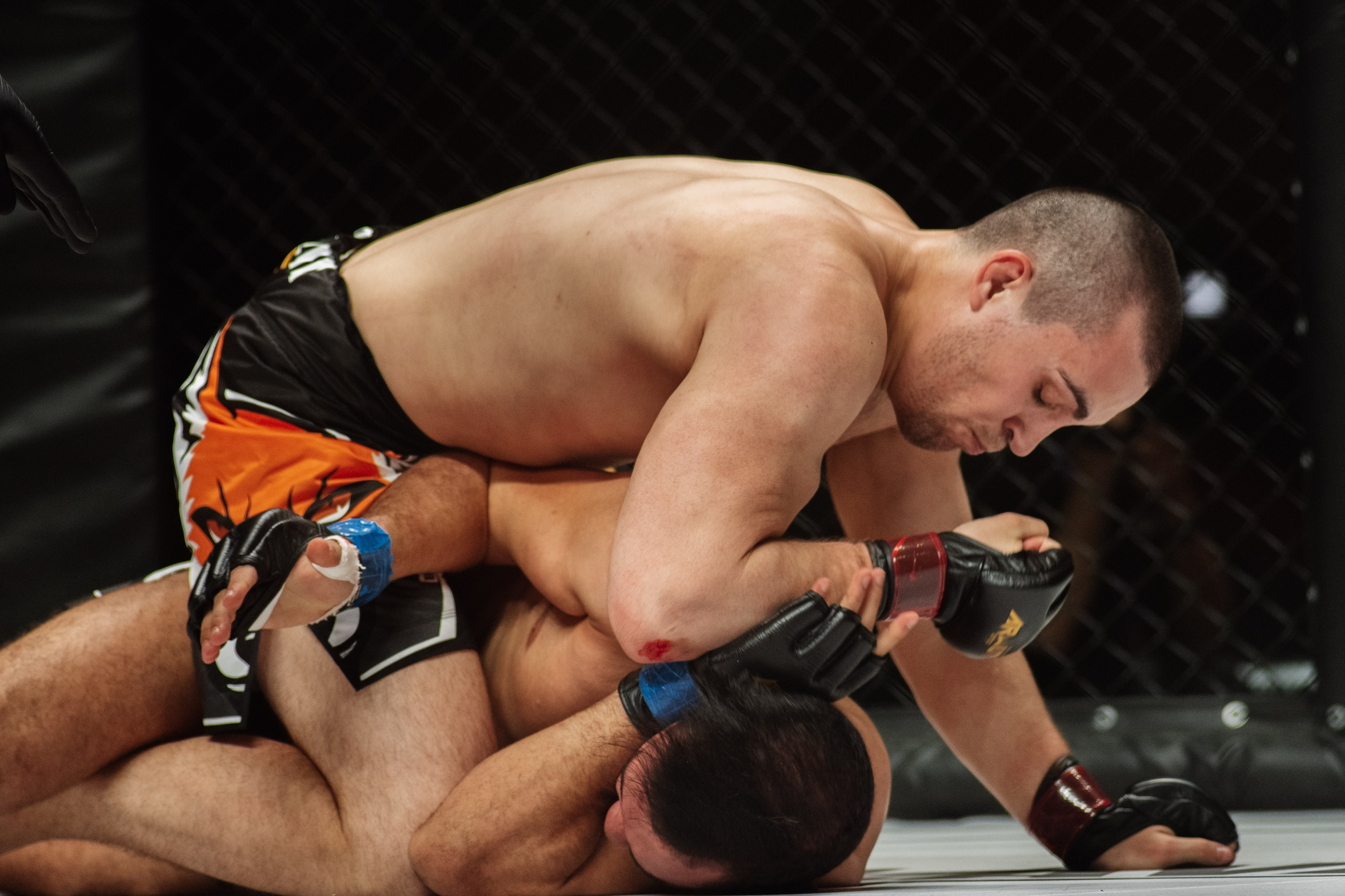 Miroslava Fight