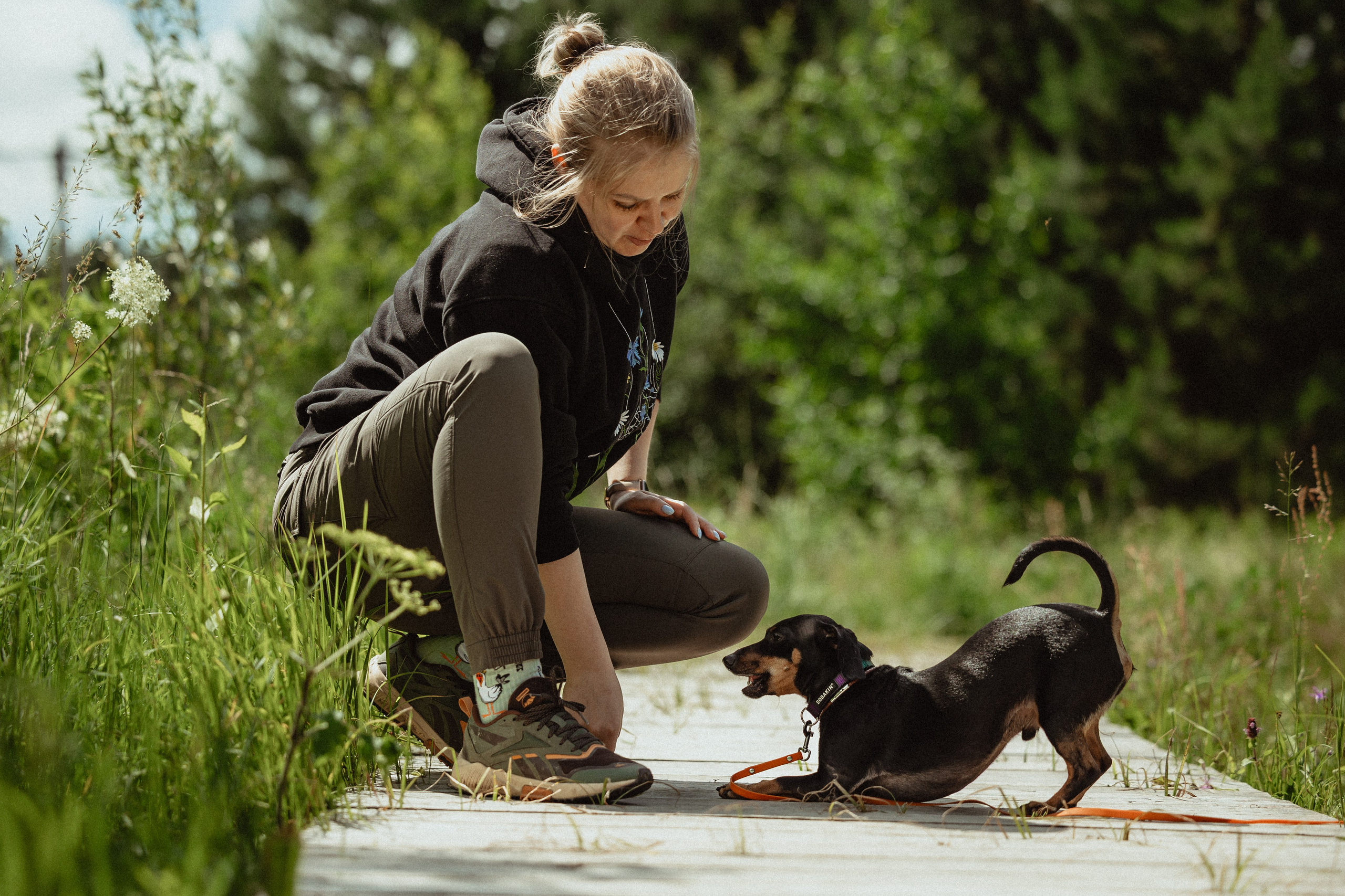 Выездной дог-тренинг от школы «Шерсть имею»