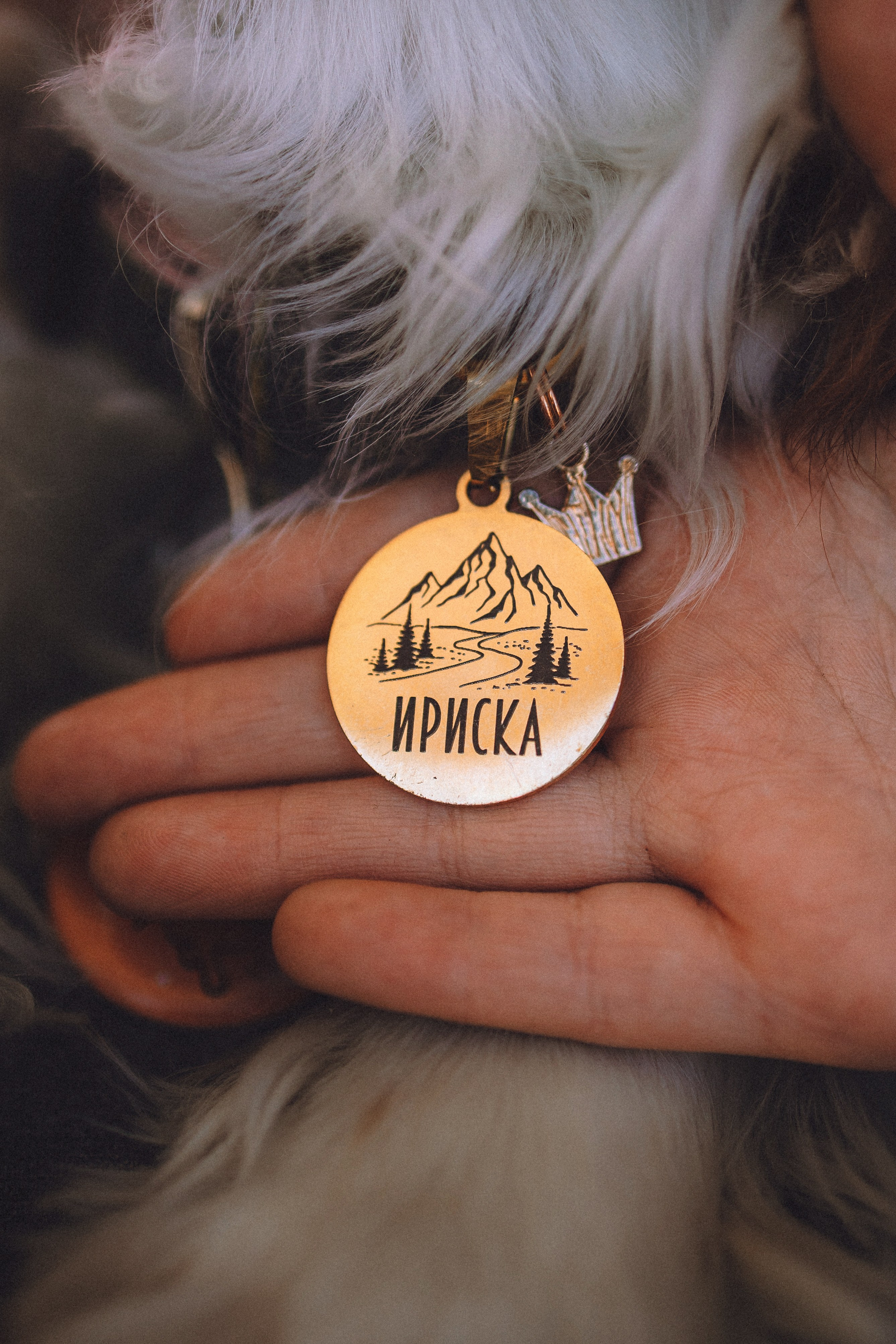 Ириска и ее семья