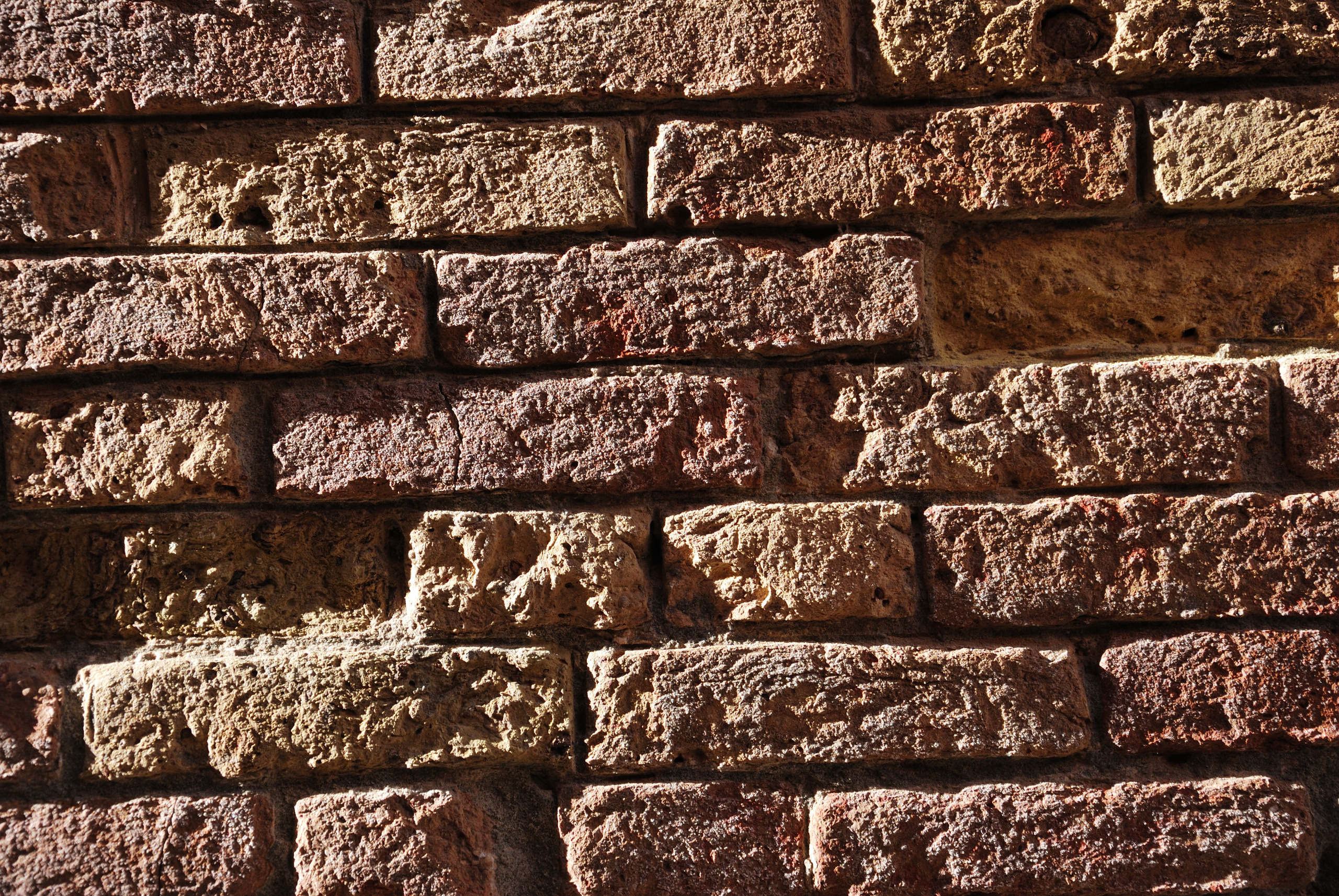 Хижняк Игорь. Фотограф в Москве