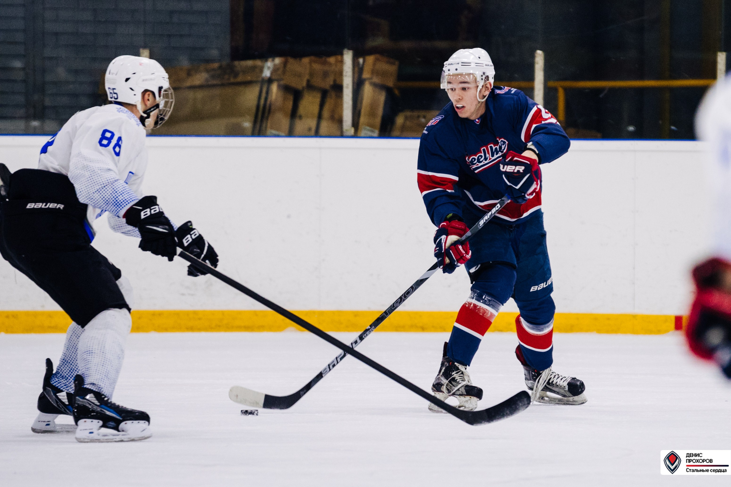 Чемпионат СХЛ // 03.03.24. Денис Прохоров Фотограф в г. Магнитогорск