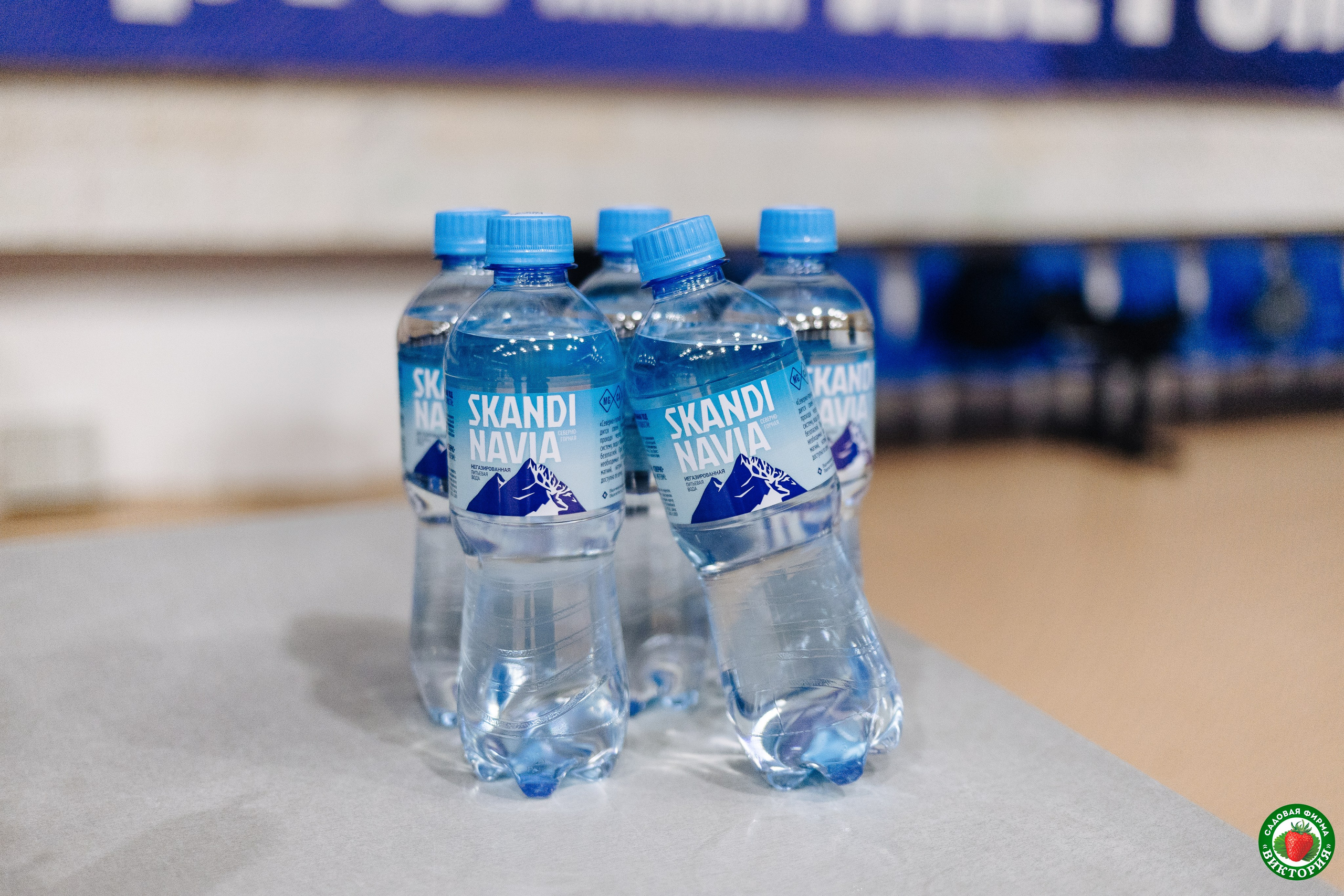 Турнир среди школьных команд 3×3, 2011–2012 гг. // 20.07.2024. Денис Прохоров Фотограф в г. Магнитогорск