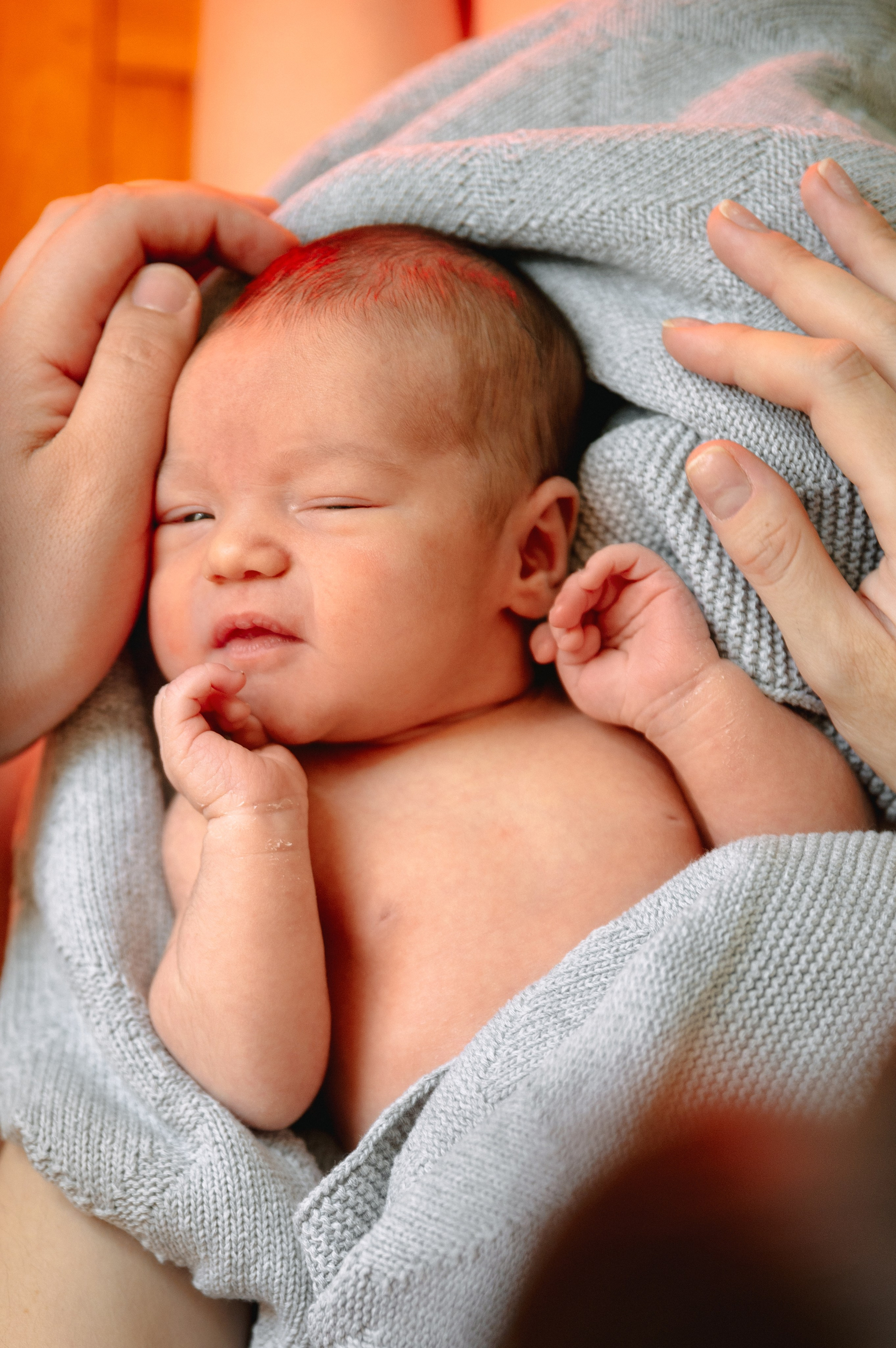 КАТЯ, КОЛЯ И ЗЛАТА. Шашкова Вероника / Свадебный и семейный фотограф Москва и Ярославль