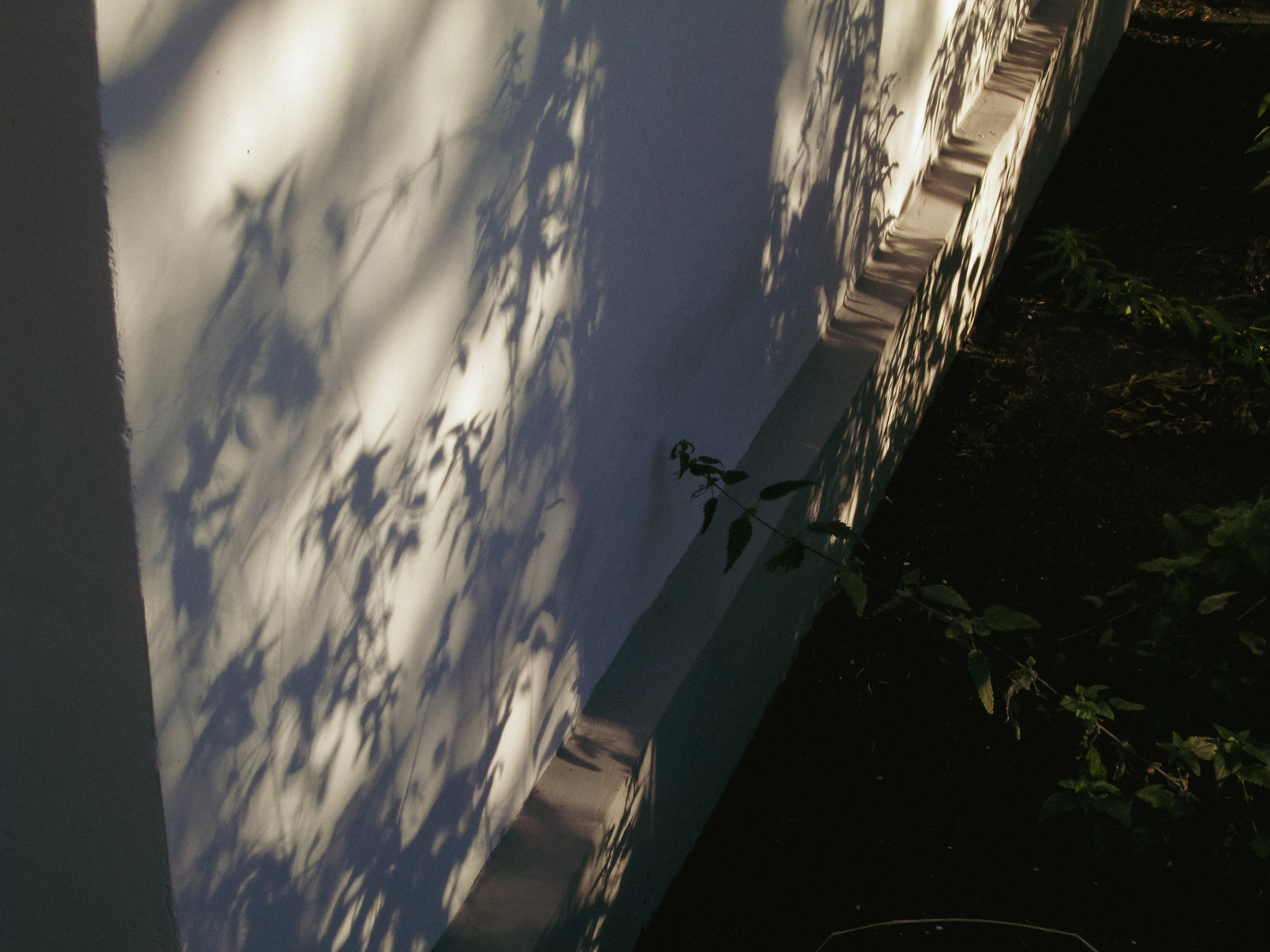 Чувство ушедшего лета. Натали. Janie valde |photographer & visual artist