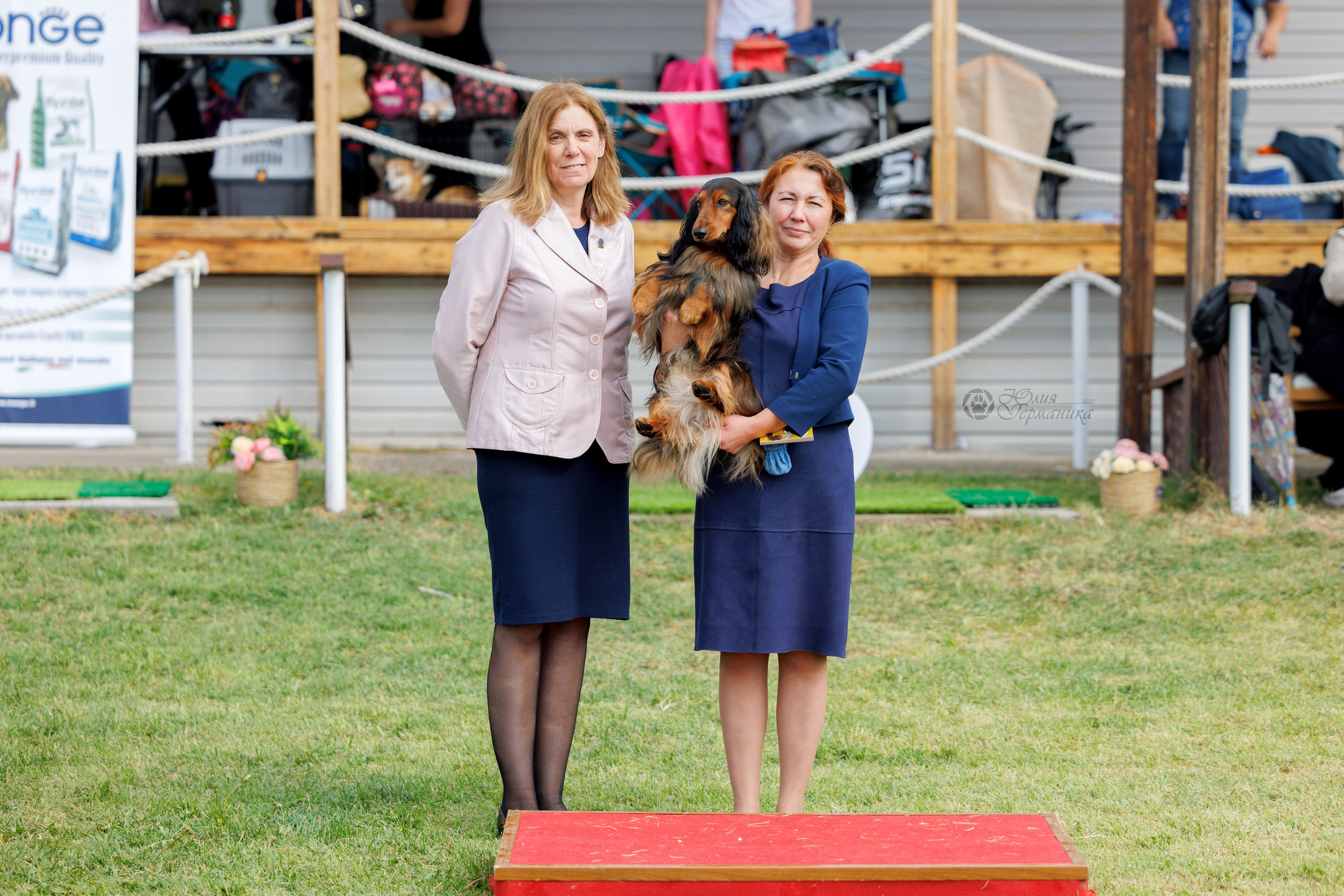 Армения,Ереван 3хCACIB 15-17.10.2024. Фотограф-анималист Юлия Германика