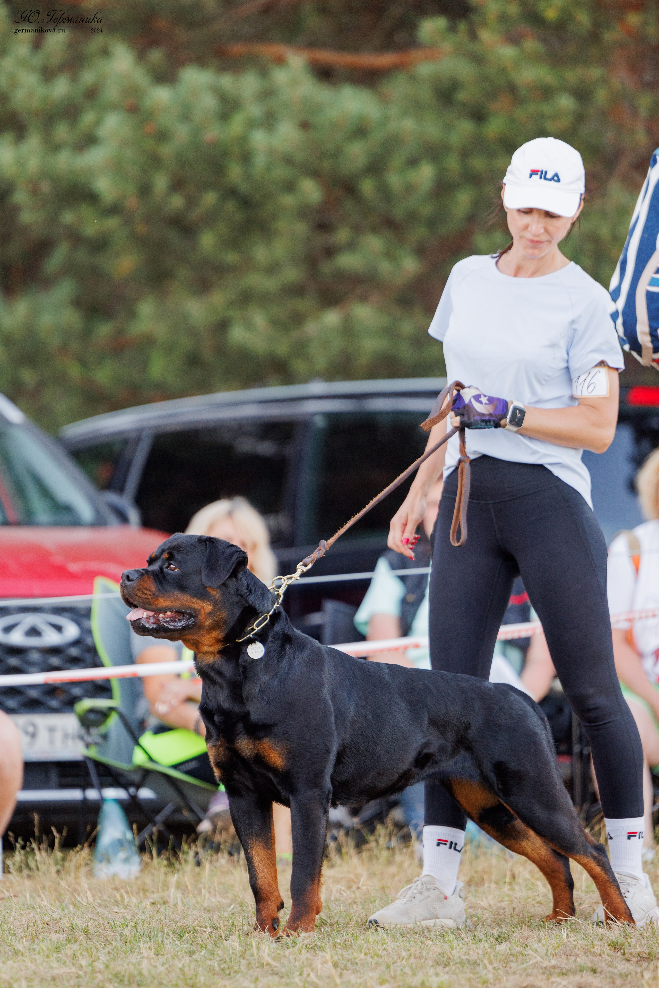 ПК и КЧК ротвейлеры Тверь 6-7.07.2024. Фотограф-анималист Юлия Германика