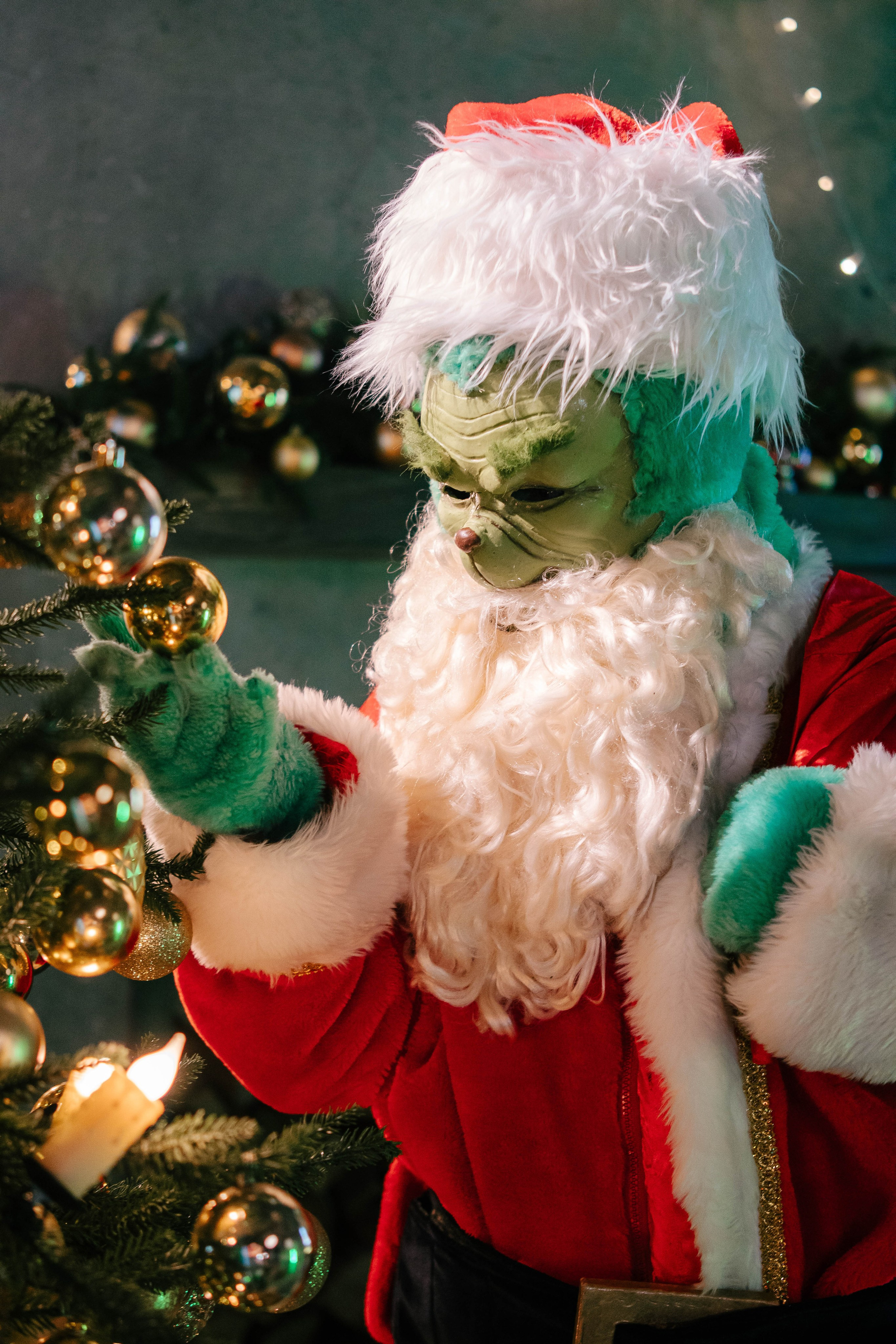 Гринч Circus Zone. Фотограф / видеограф в Москве и Сочи Sofia Riversong