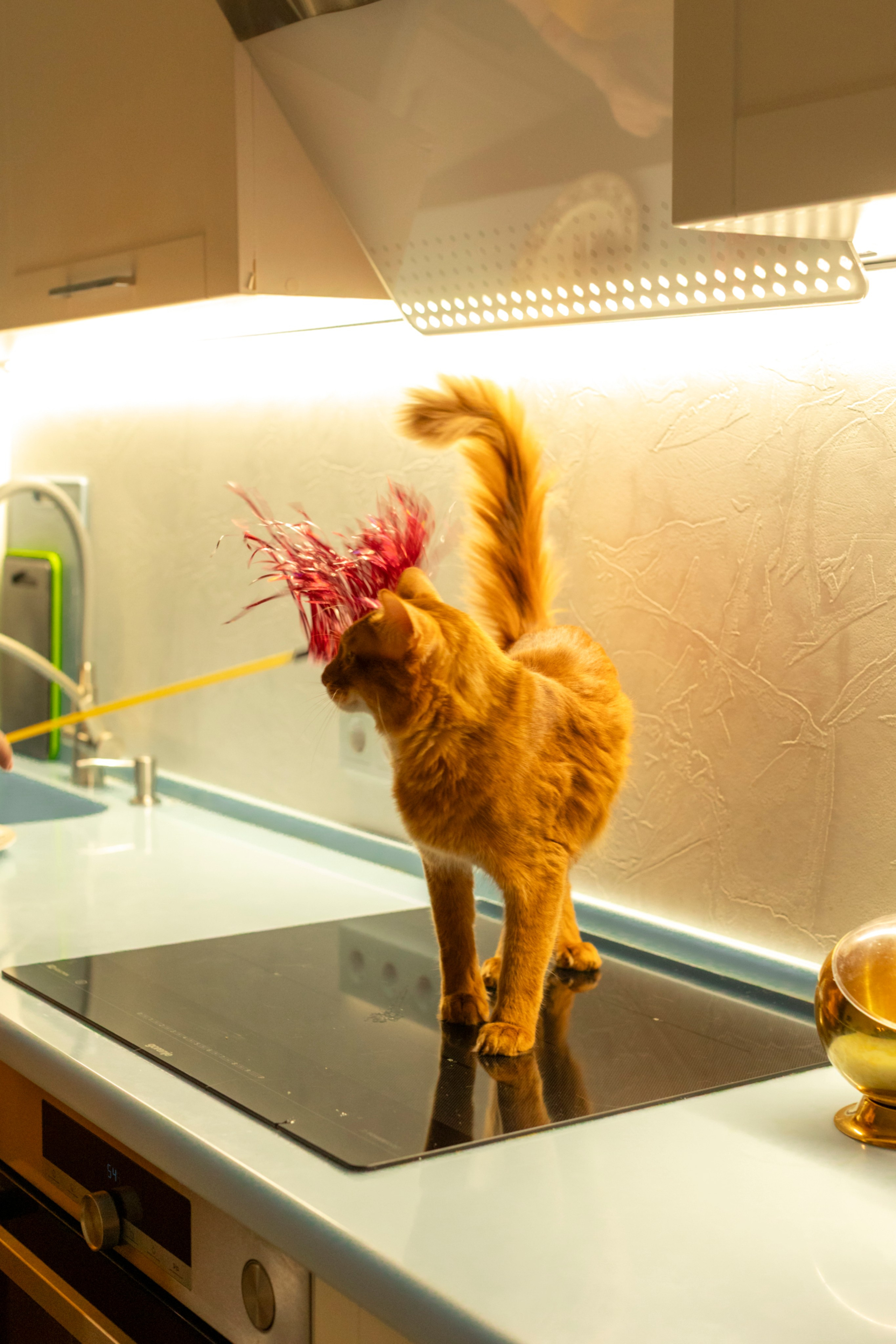 Сомали. Art my Pho