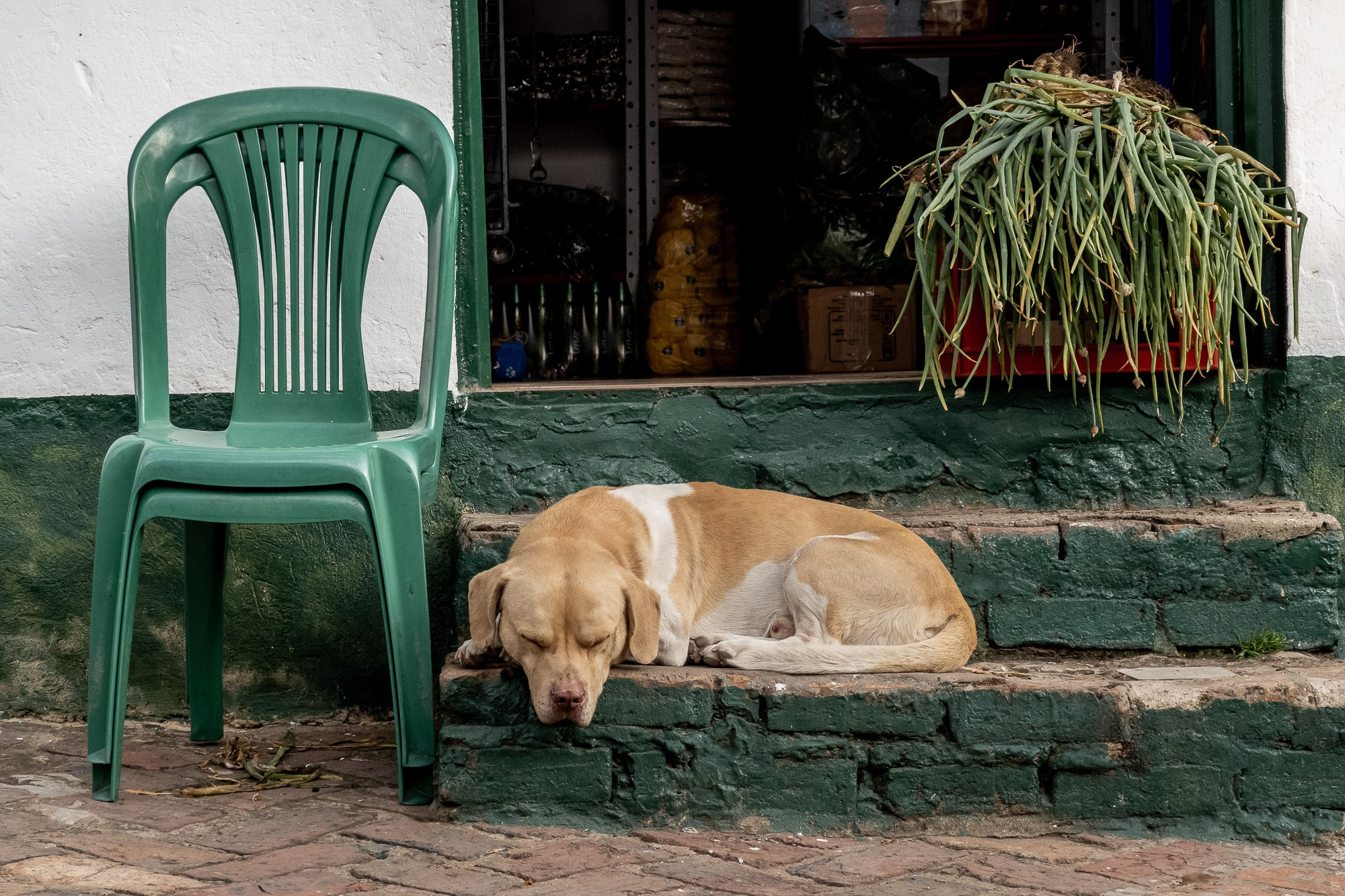 Монги (Mongui). Колумбия (Colombia). Фотограф Алексей Скоробогатько