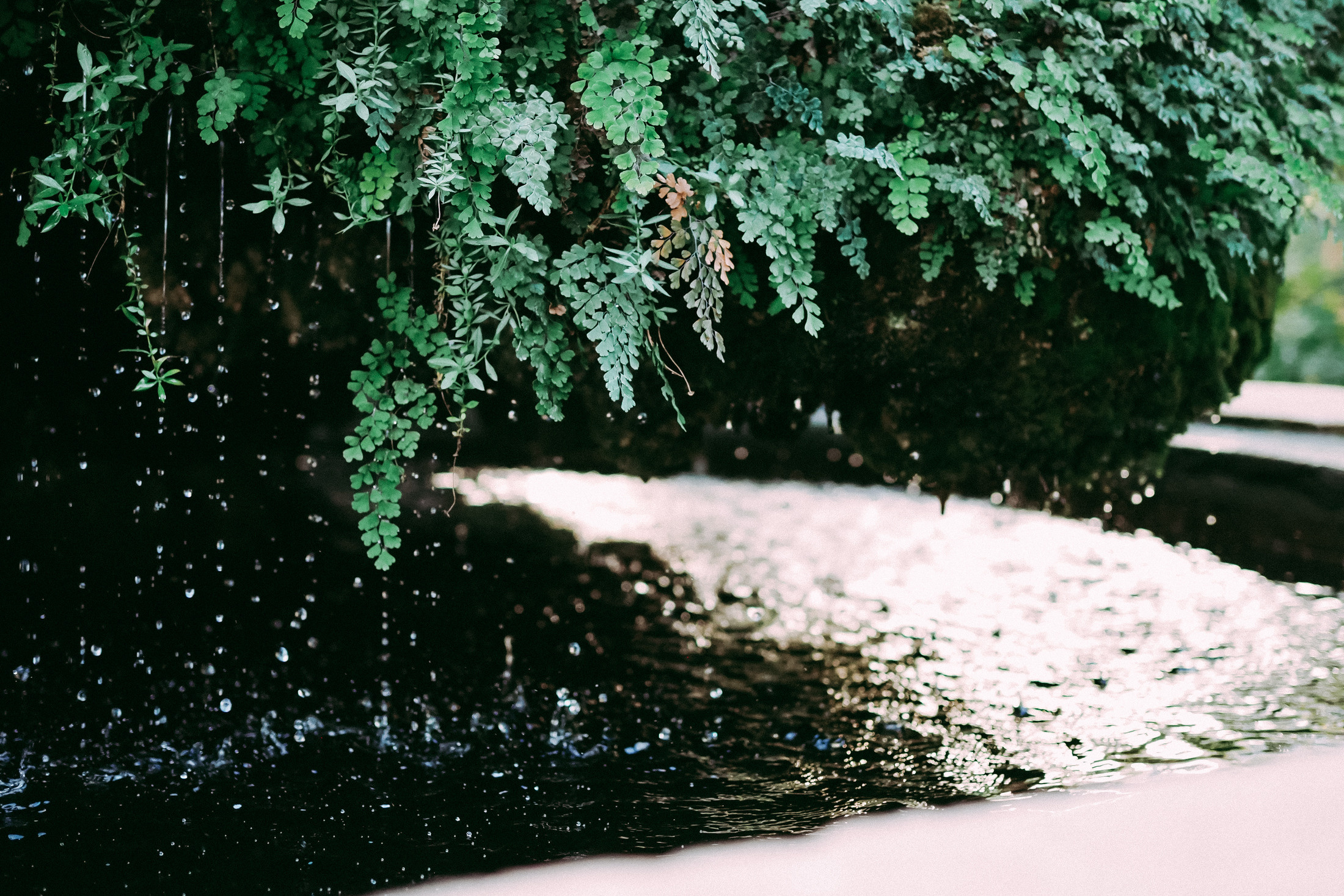Фотосессия в Банселоне. Фотограф в Барселоне Валиулова Ася