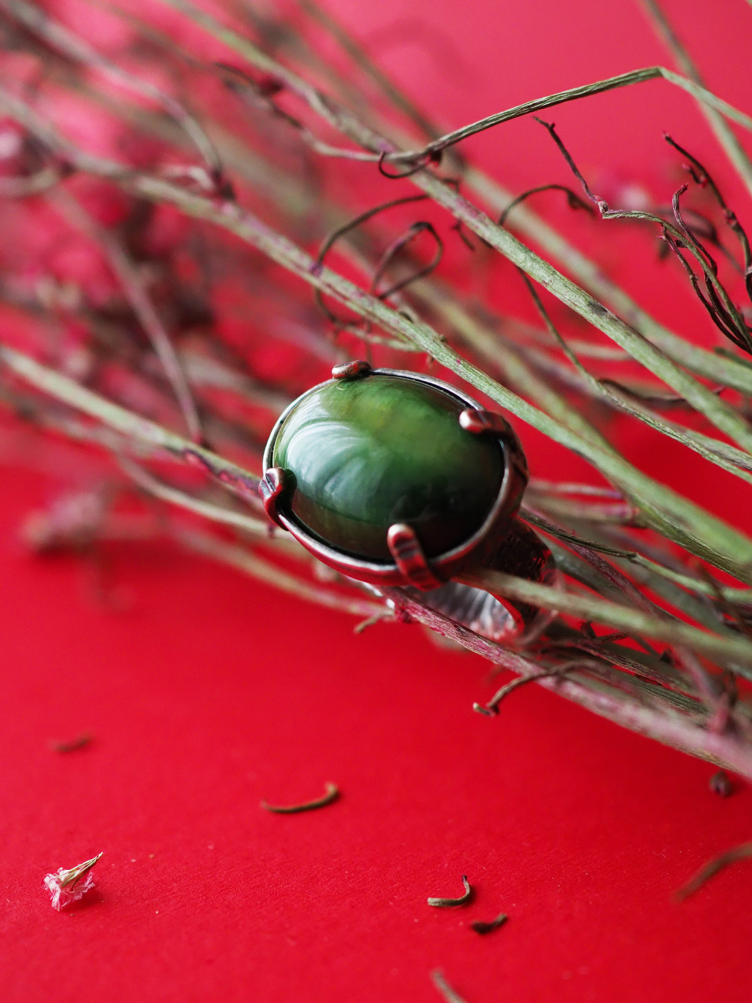 Цветная. Фотограф в Барселоне Валиулова Ася