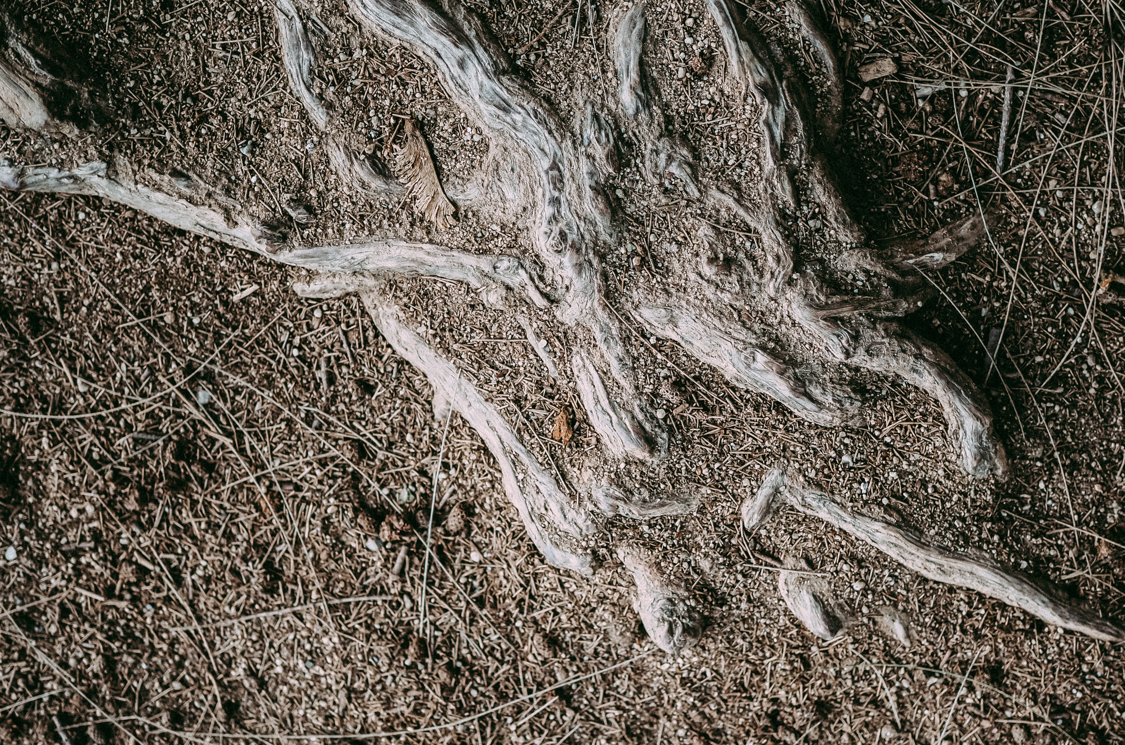 Фотосессия в парке Барселоны. Фотограф в Барселоне Валиулова Ася