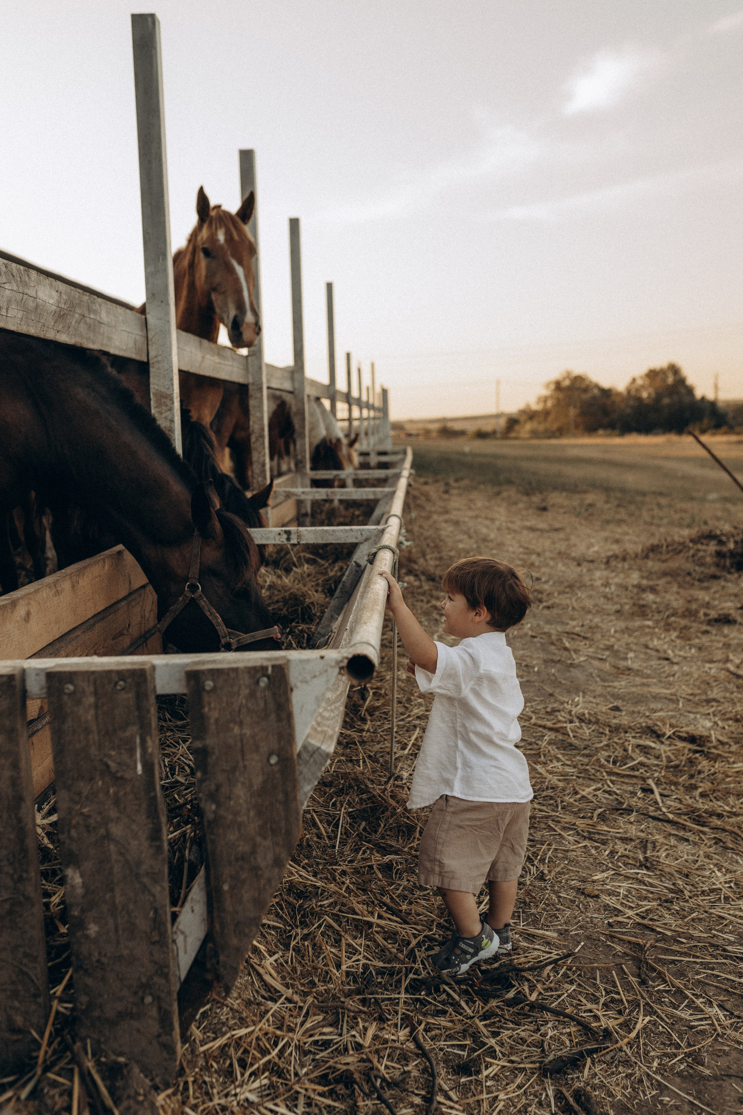 Миша Таня и Лев на ферме. Семейный фотограф в Новороссийске и Анапе Александра Яковлева
