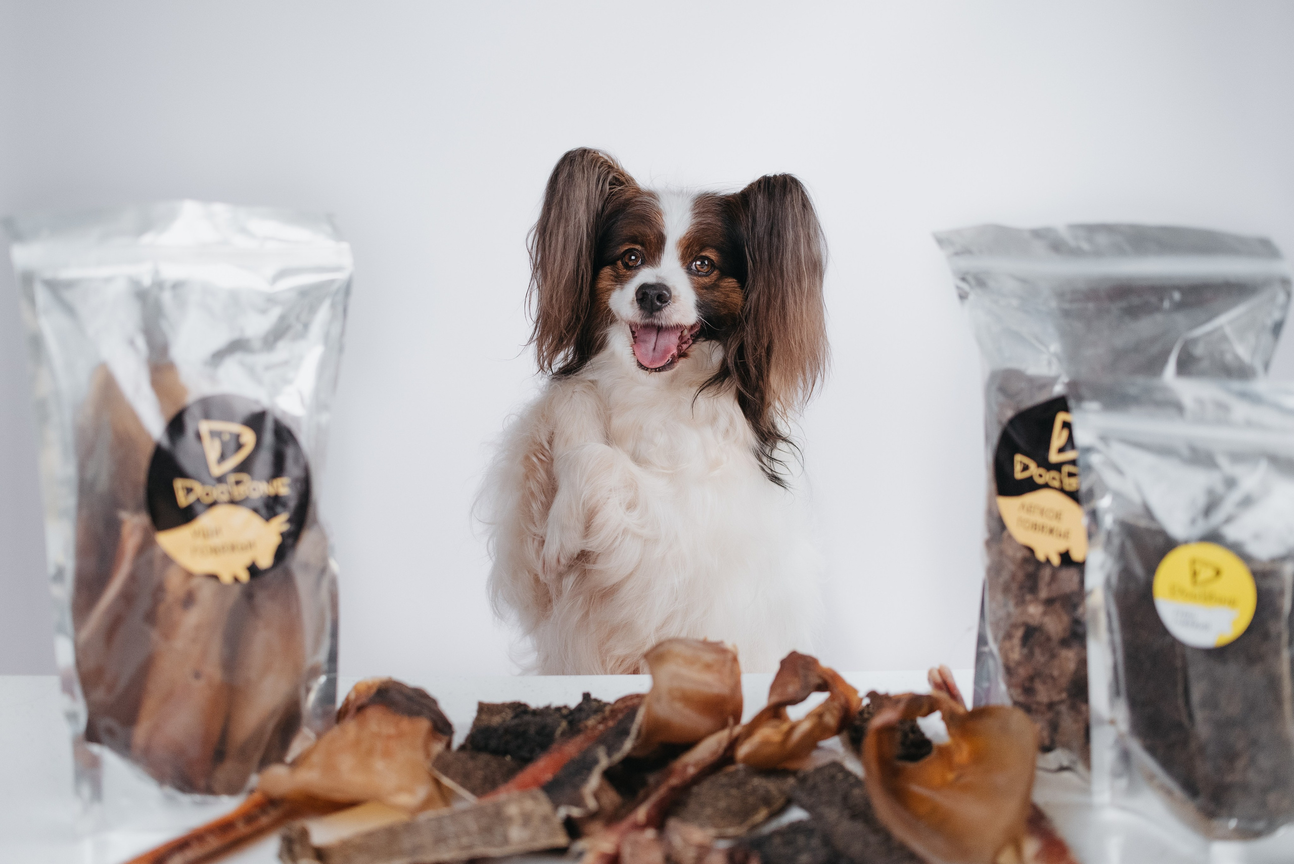 Dog Bone контент. Фотограф-анималист Валерия, Москва, Мытищи