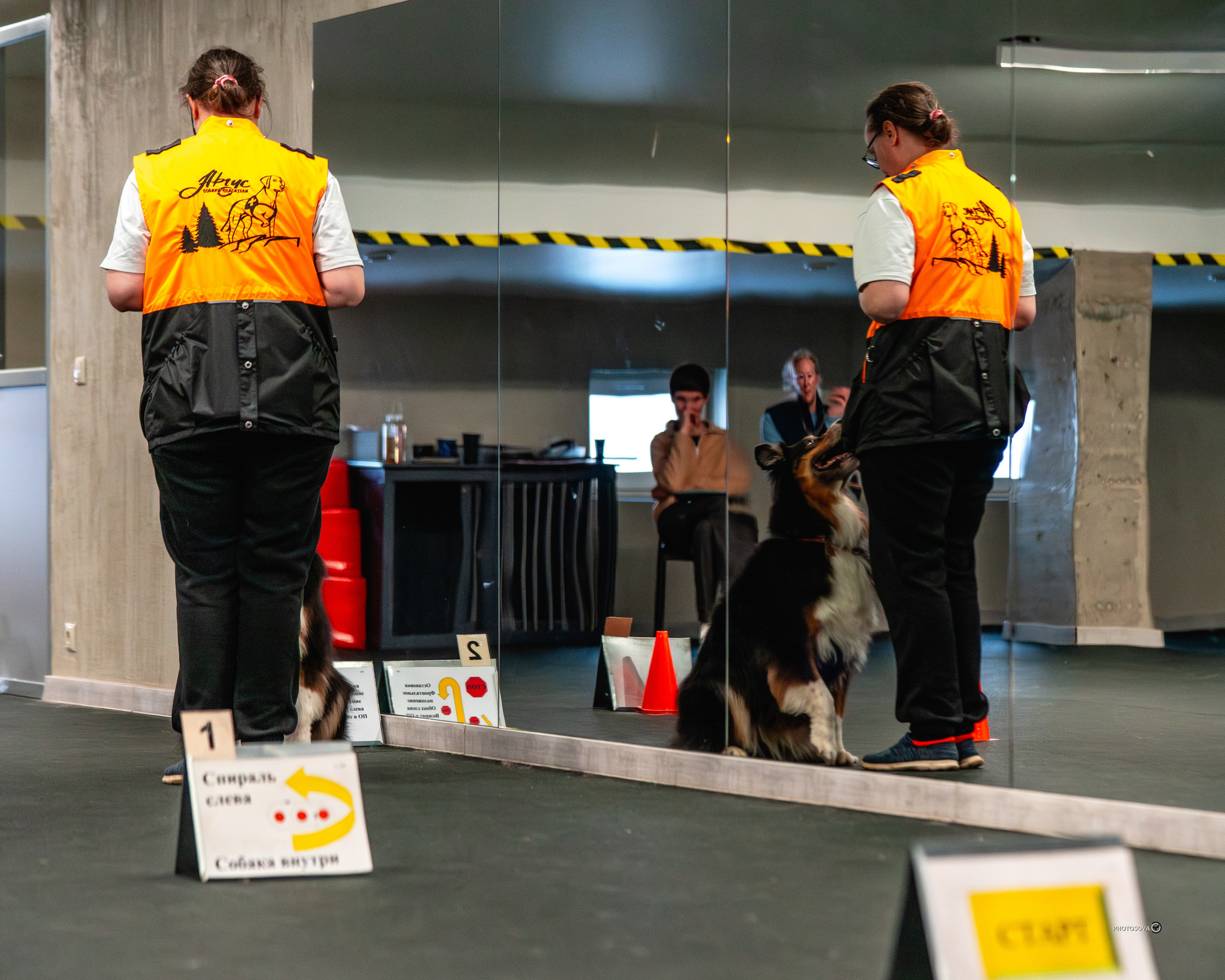 ТЫ И Я (соревнования по ралли-обидиенс). Фотограф-анималист, семейный фотограф в Москве и Подмосковье. Фотосъёмка кинологических дисциплин
