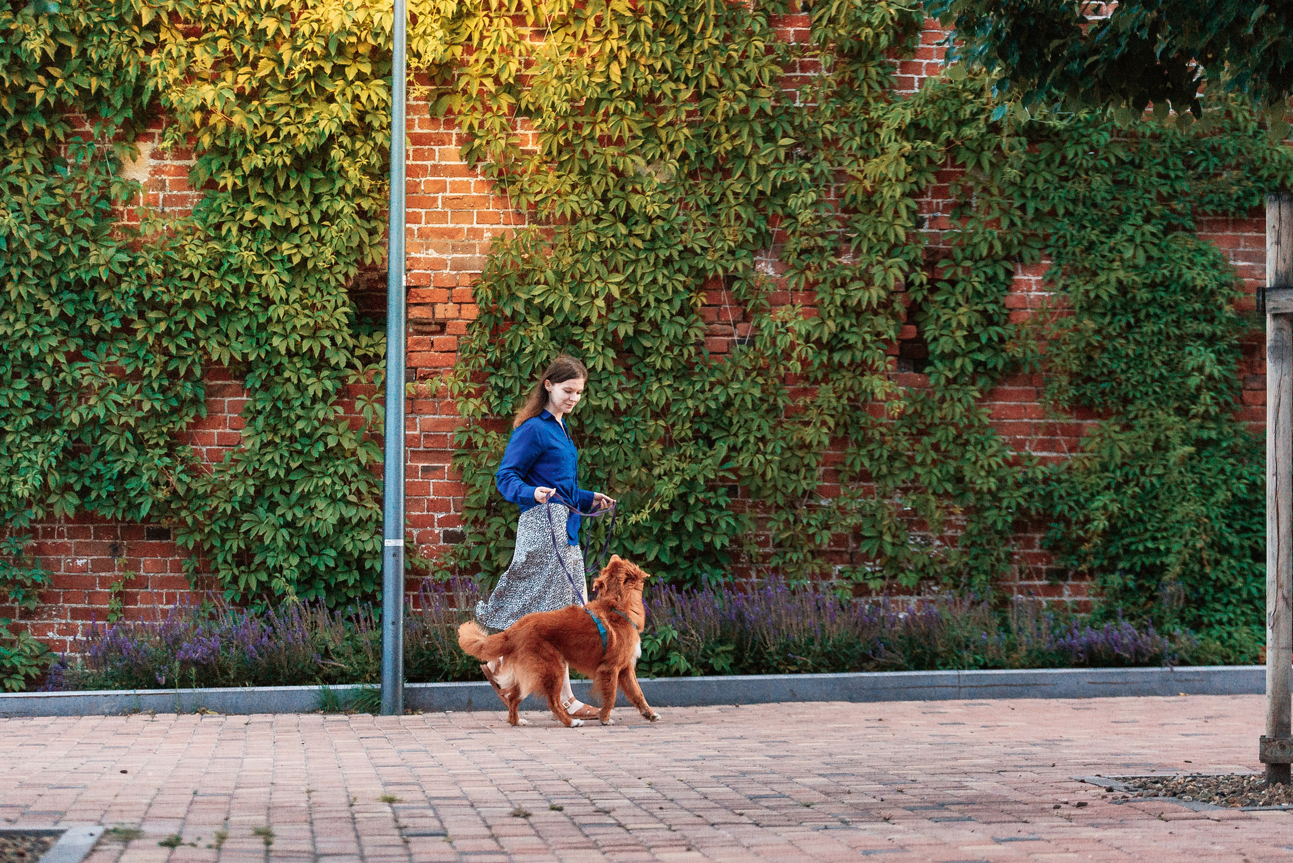 Таня и Лео. Фотограф-анималист Анастасия Парфенова|Екатеринбург