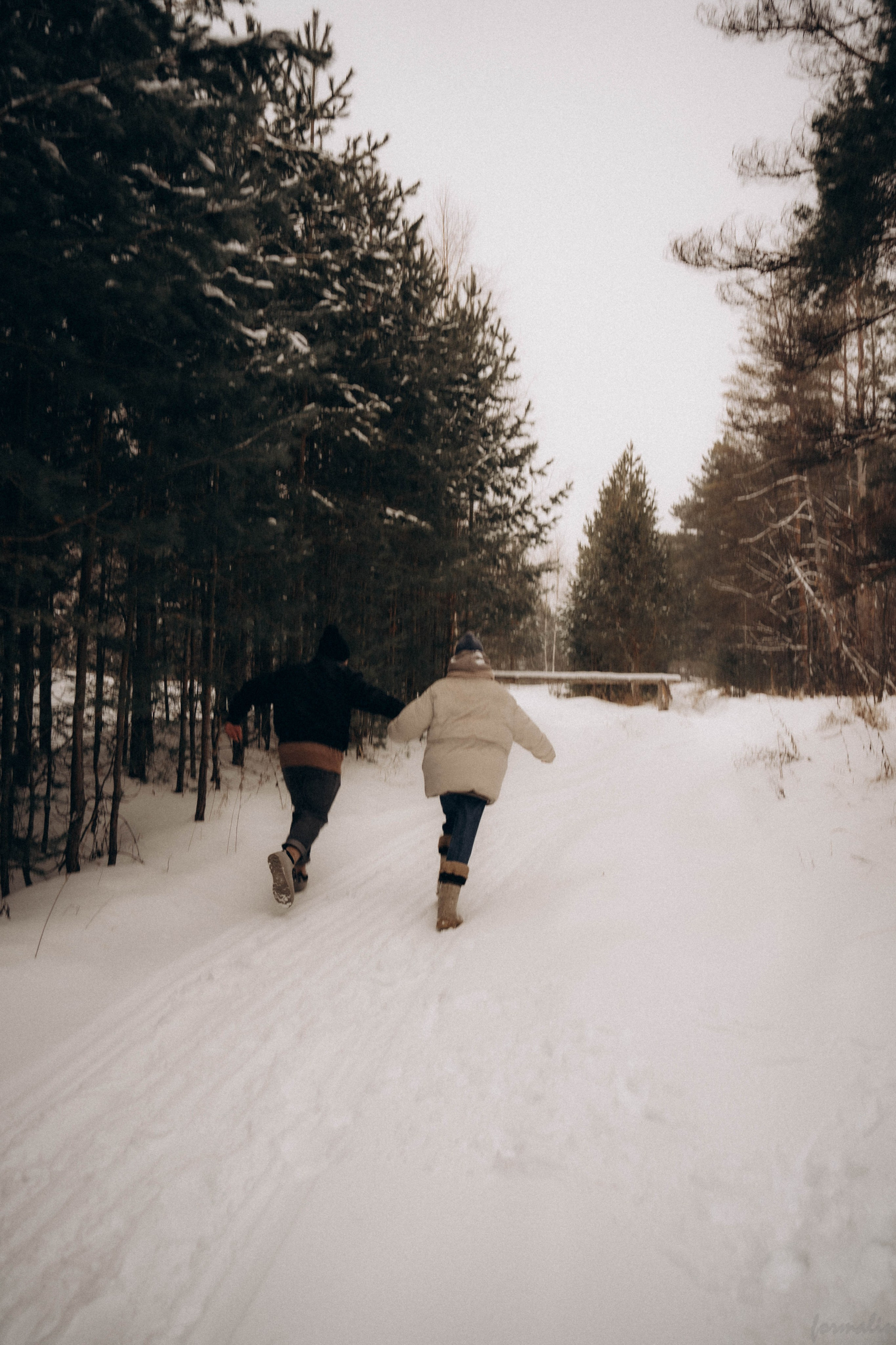 Романтичный снегопад. Алиса Никитцова | Фотограф в Казани