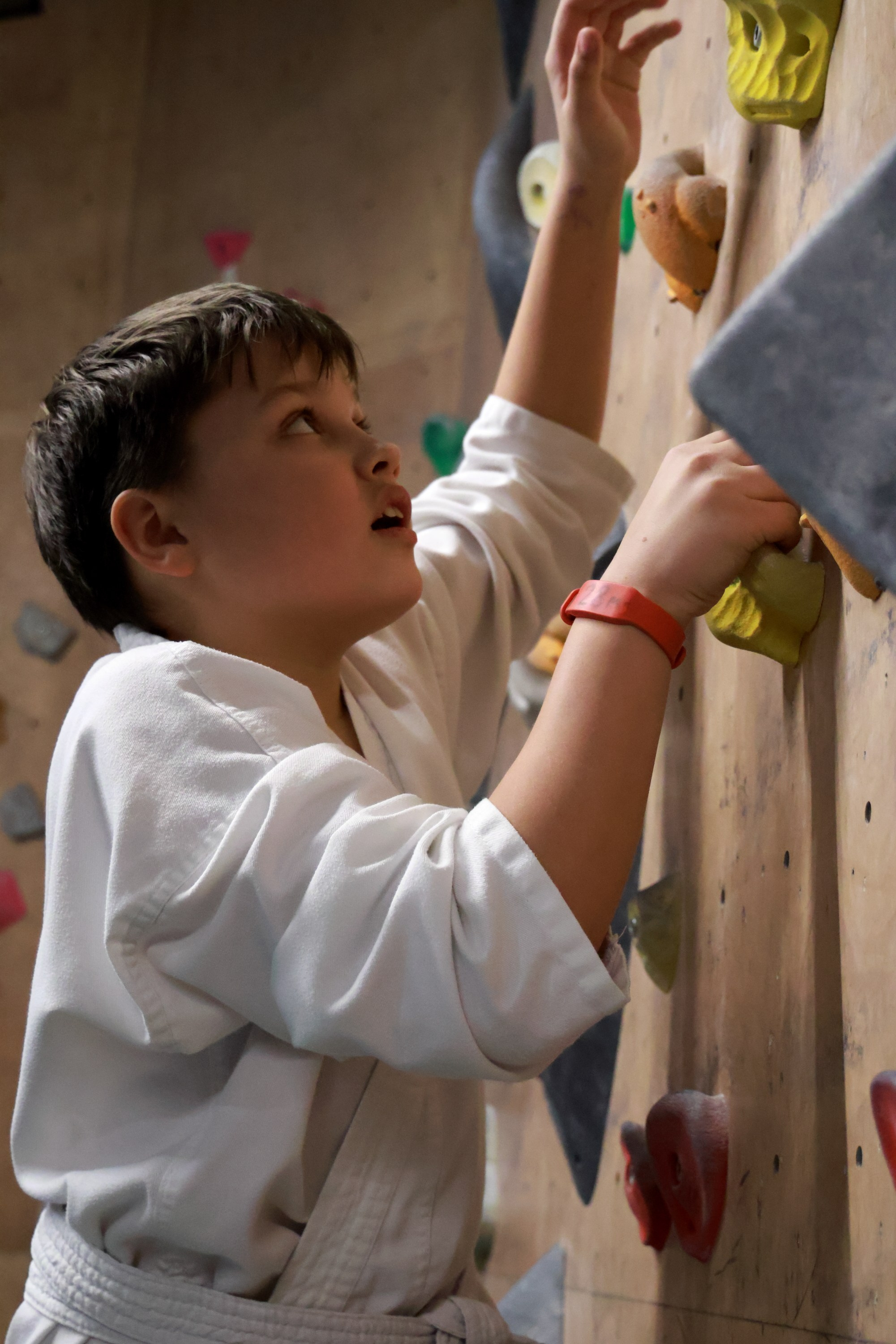 Репортажная фотосъёмка новогодней ёлки. Спортивный и репортажный фотограф Ермакова Светлана