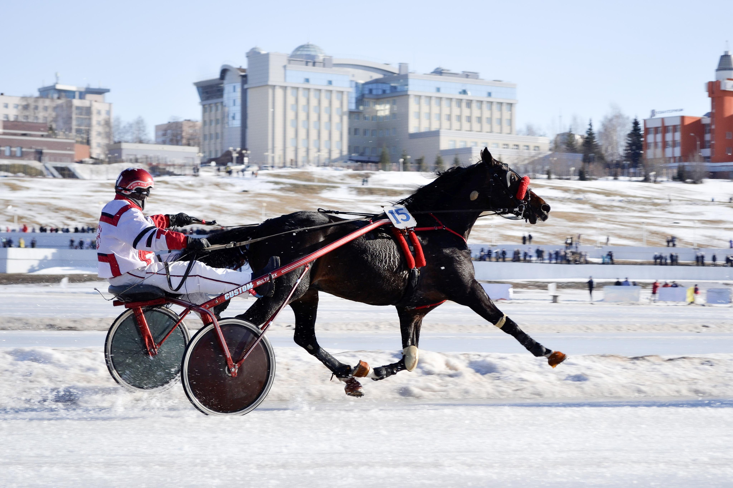 Скачки. Меня зовут Михайлов Сергей, занимаюсь фото и видео г. Чебоксарах