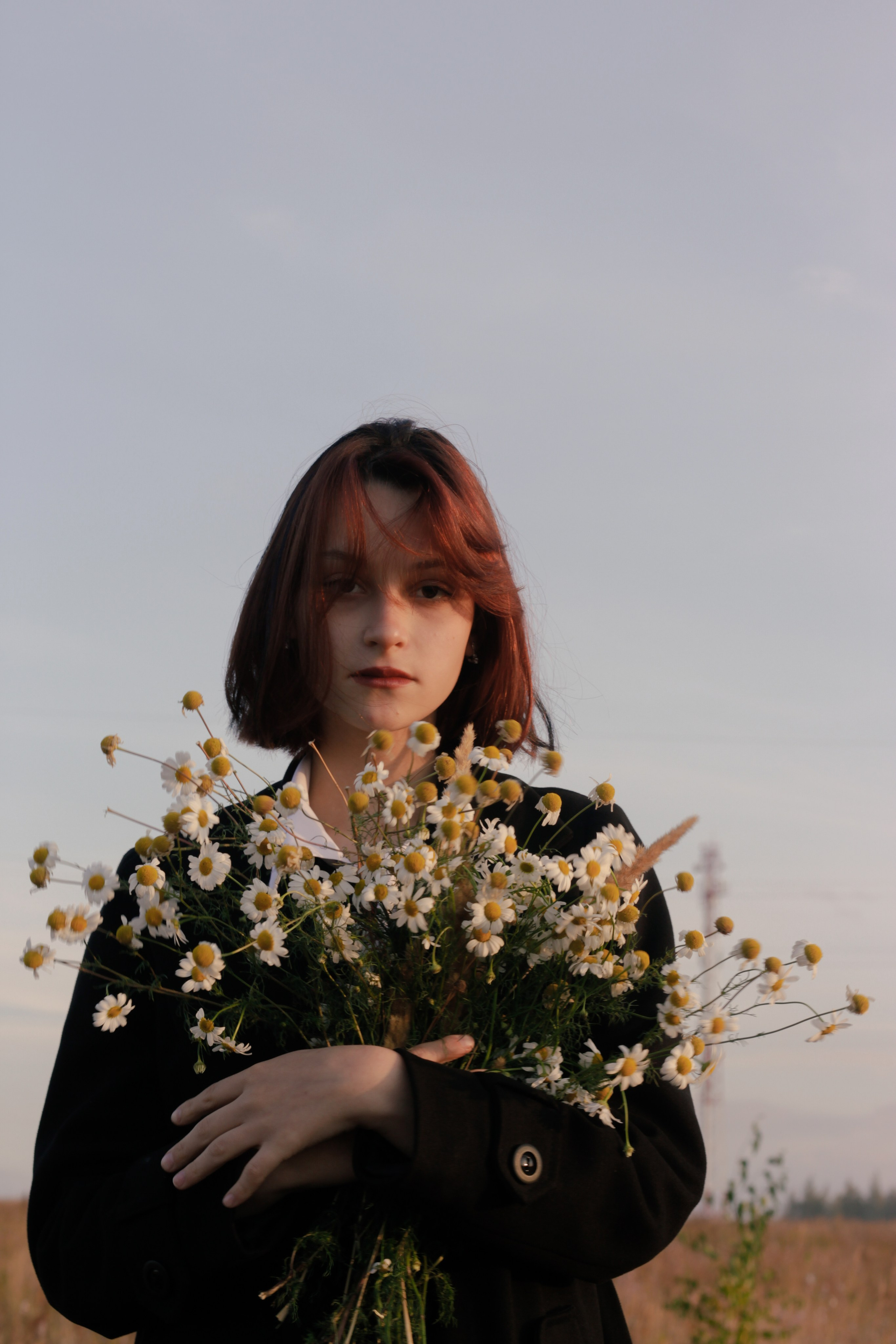 Прогулочные истории. Главная