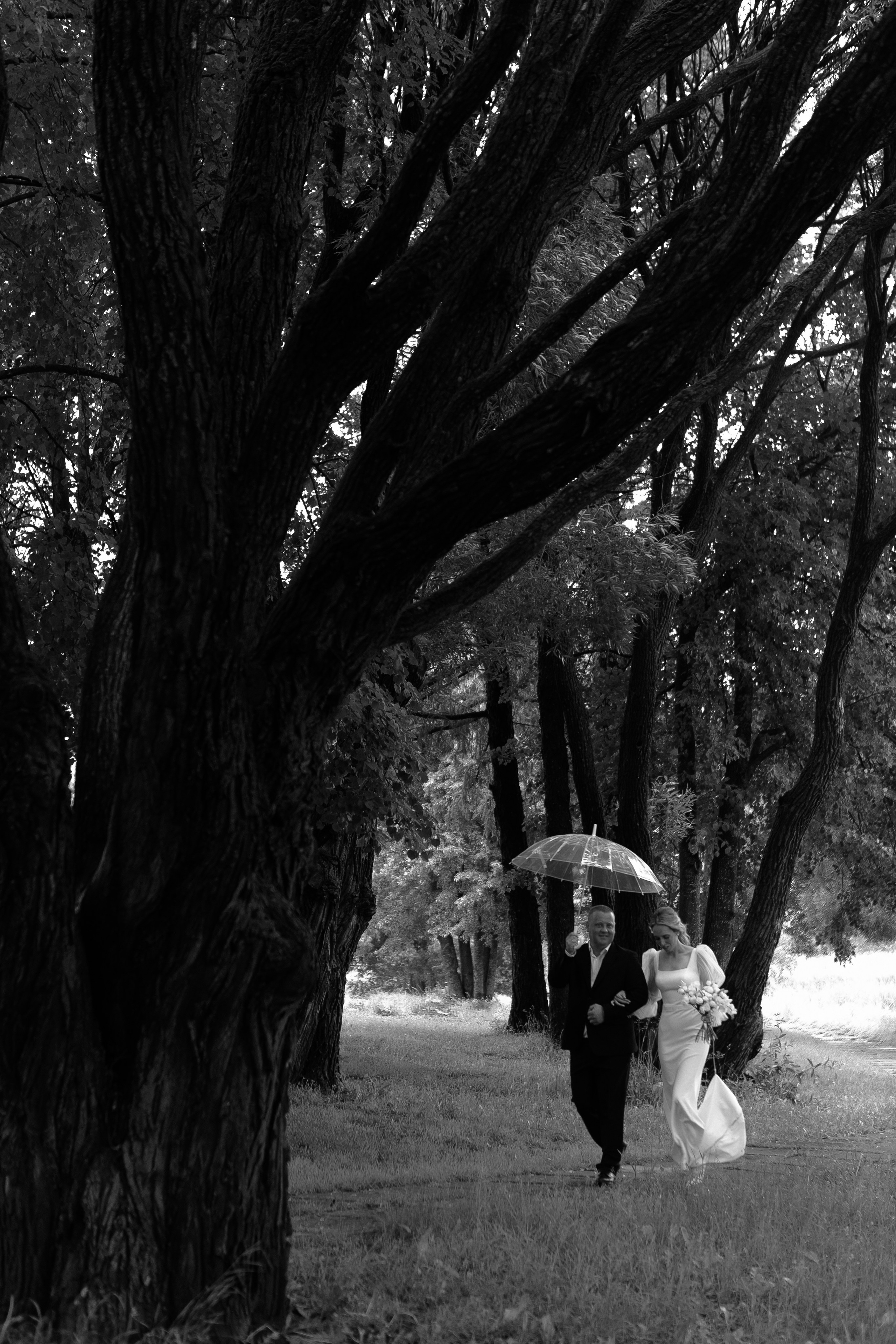 Свадьба Андрея и Екатерины. Фотограф Кольчугино/Владимир/Москва Елизавета Иода