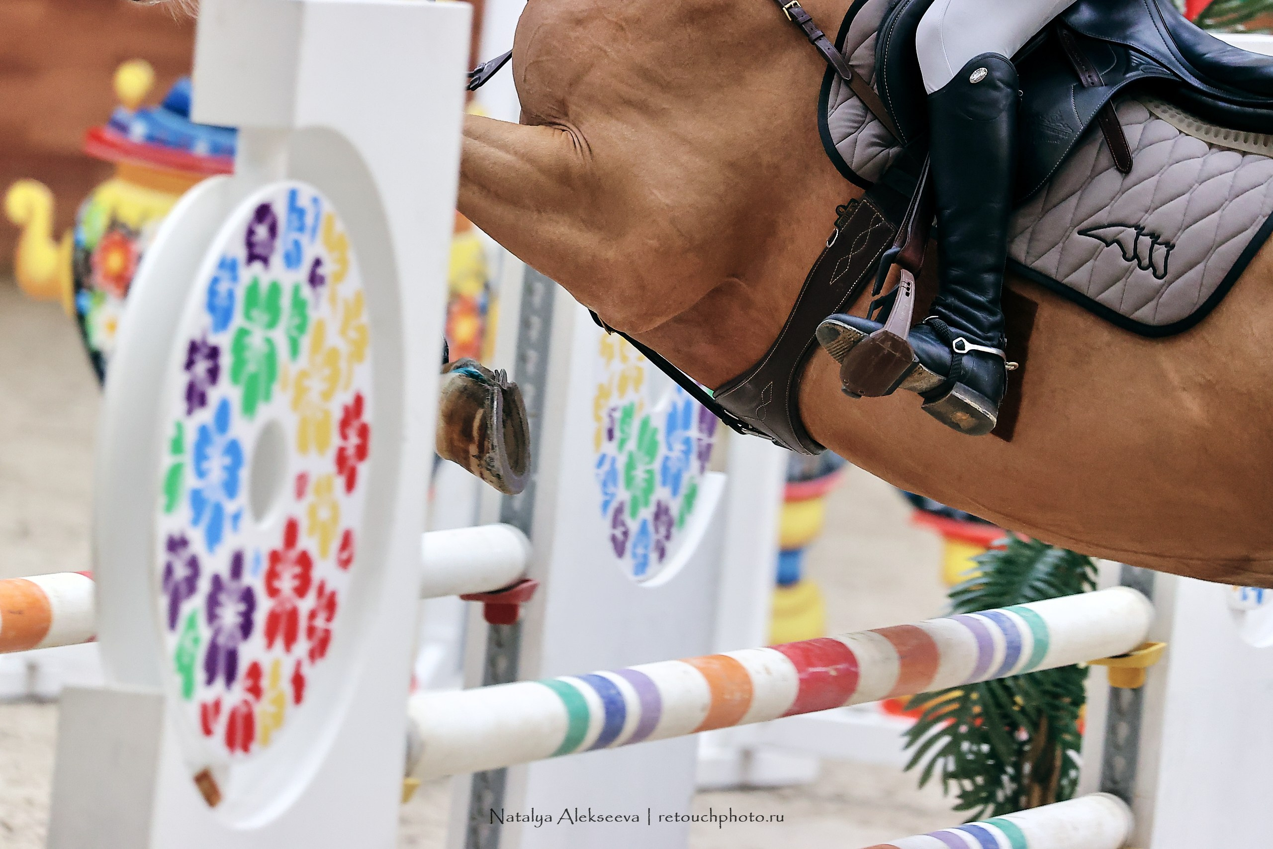 Финал Maxima Park по конкуру, Maxima Stables | 10'2023. Репортажный фотограф и ретушер в Москве Наталья Алексеева