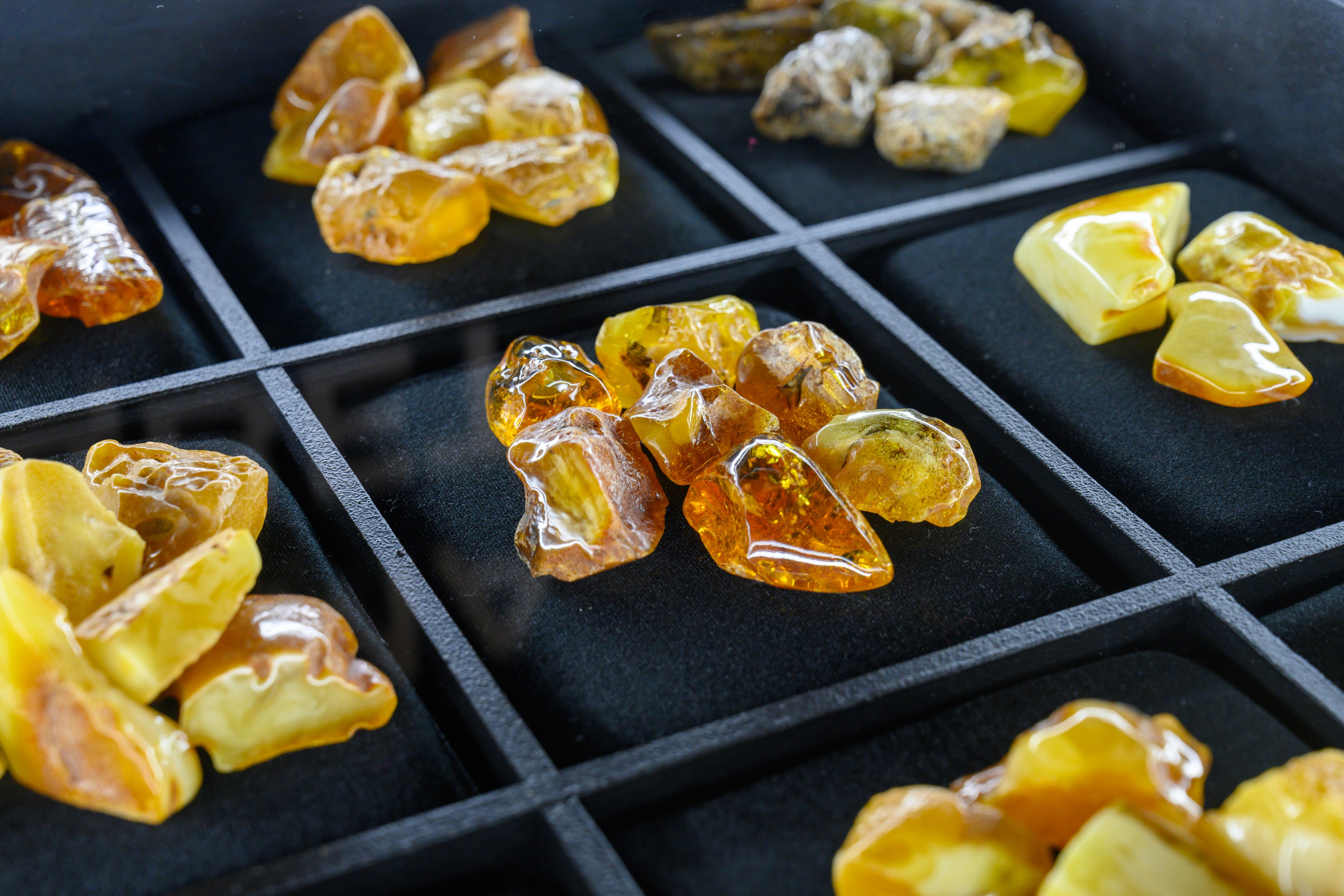 Музей янтаря на Арбате. Фотограф Андрей Зикеев, фотостудия AzArt Studio в Москве