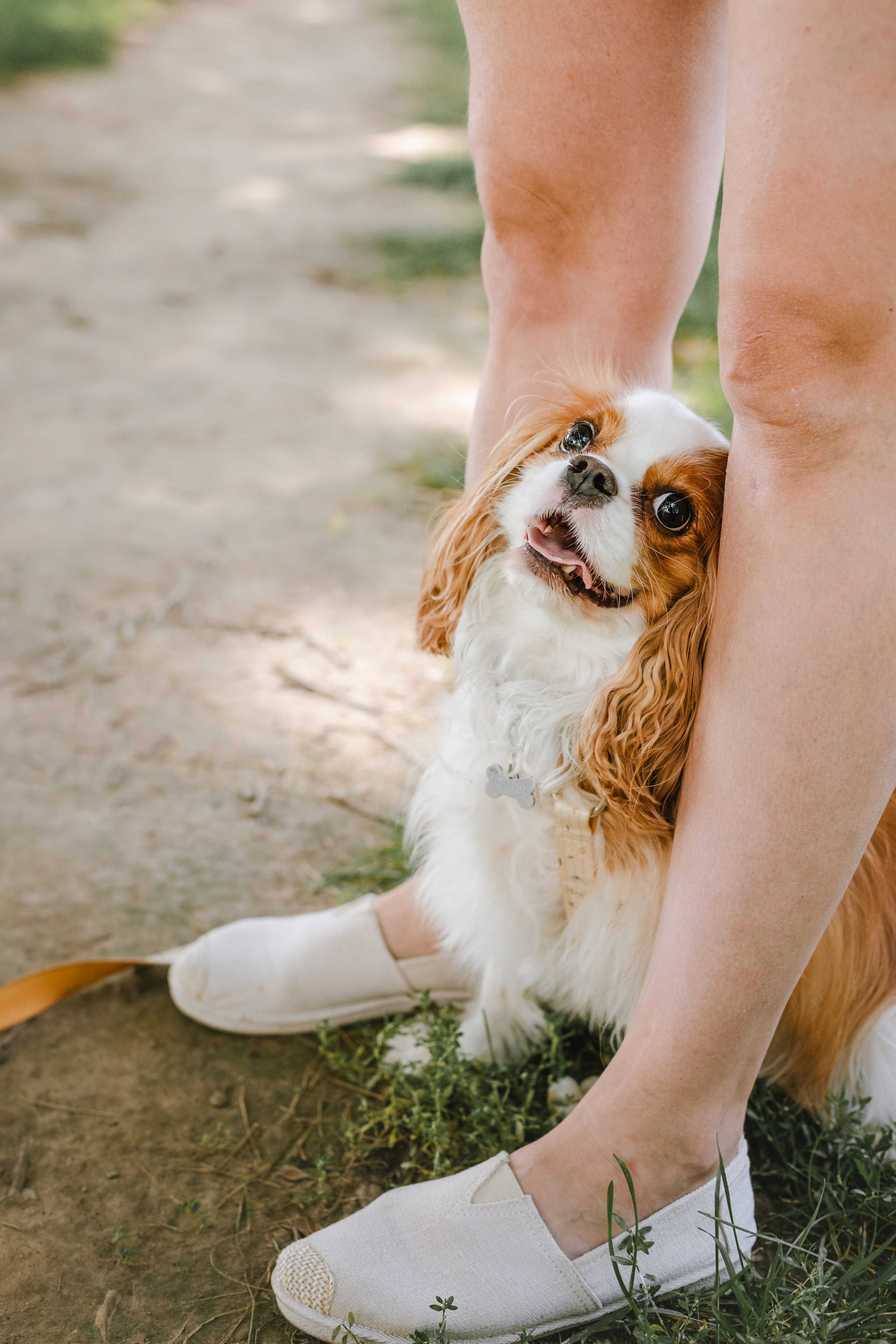Фотопрогулка на бульваре. Фотограф-анималист Татьяна Степанова