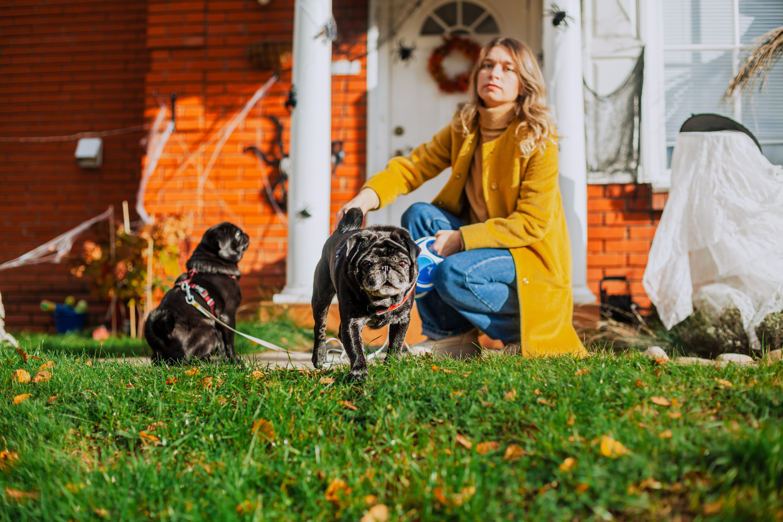 Оля, Харви, Луис. Фотограф-анималист Татьяна Степанова