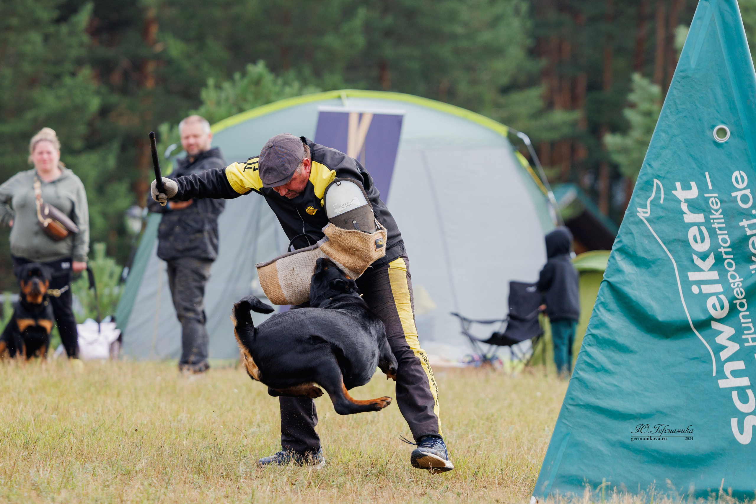 ПК и КЧК ротвейлеры Тверь 6-7.07.2024. Фотограф-анималист Юлия Германика